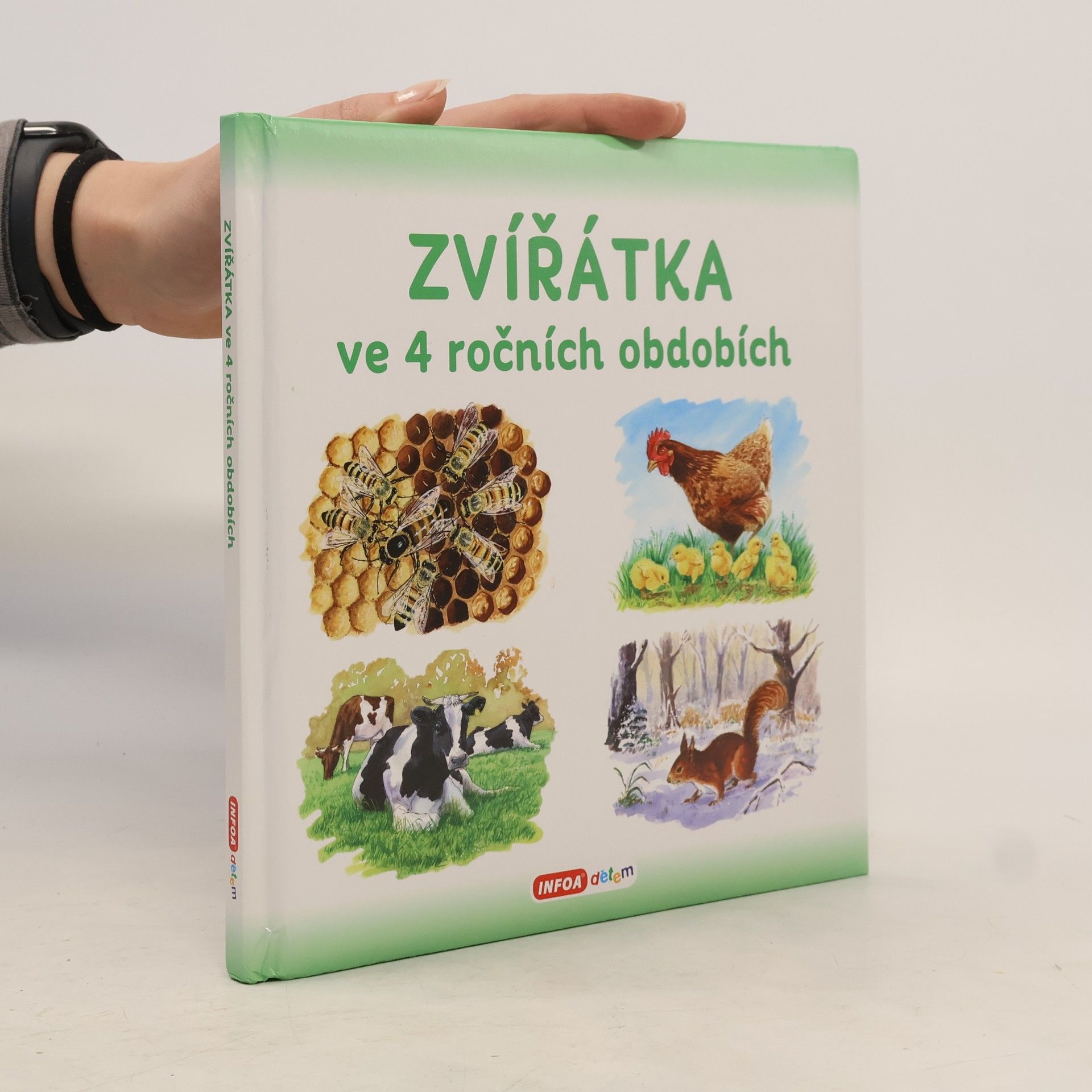 Zvířátka ve 4 ročních obdobích