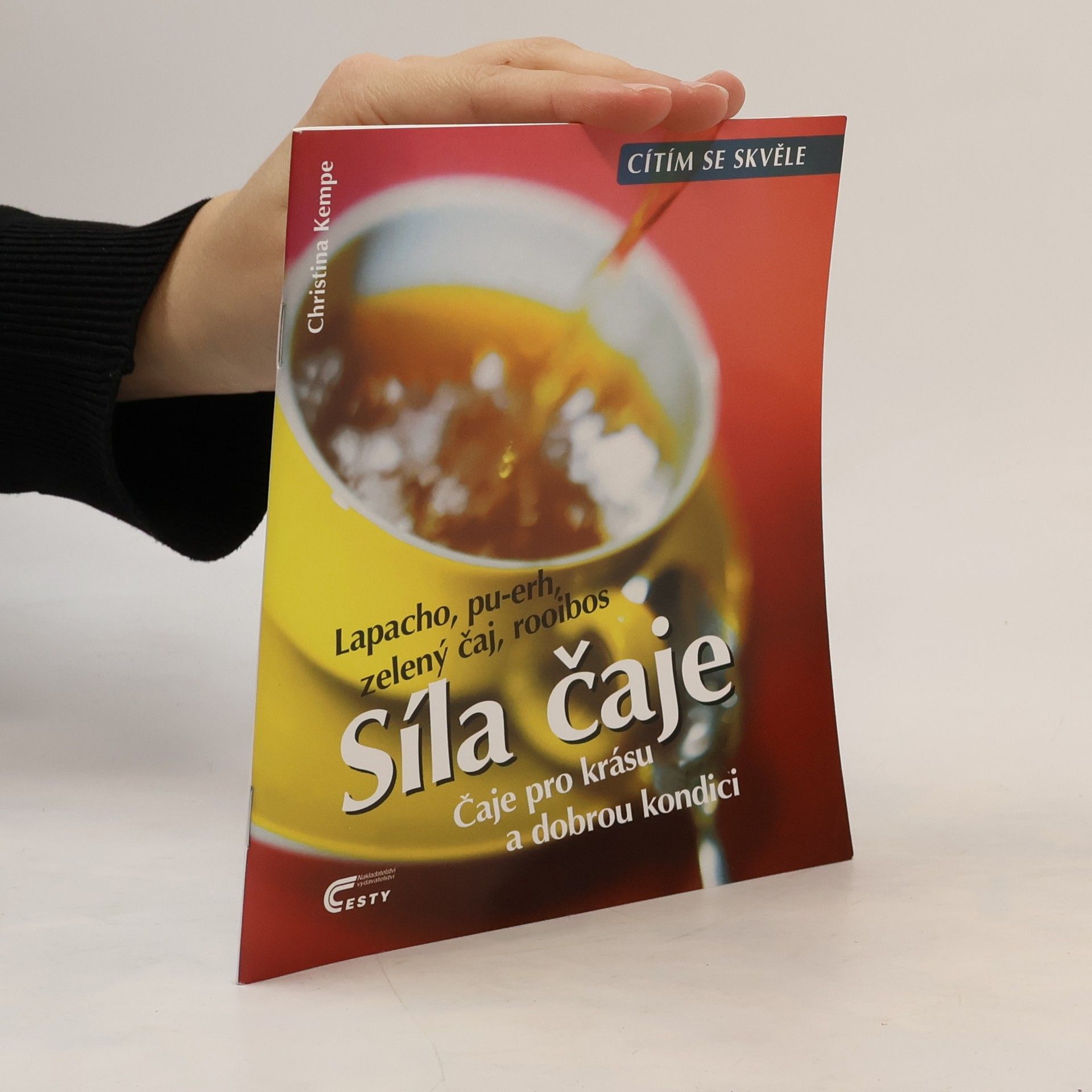 Christina Kempe Síla čaje : čaje pro krásu a dobrou kondici : lapacho, pu-erh, zelený čaj, rooibos