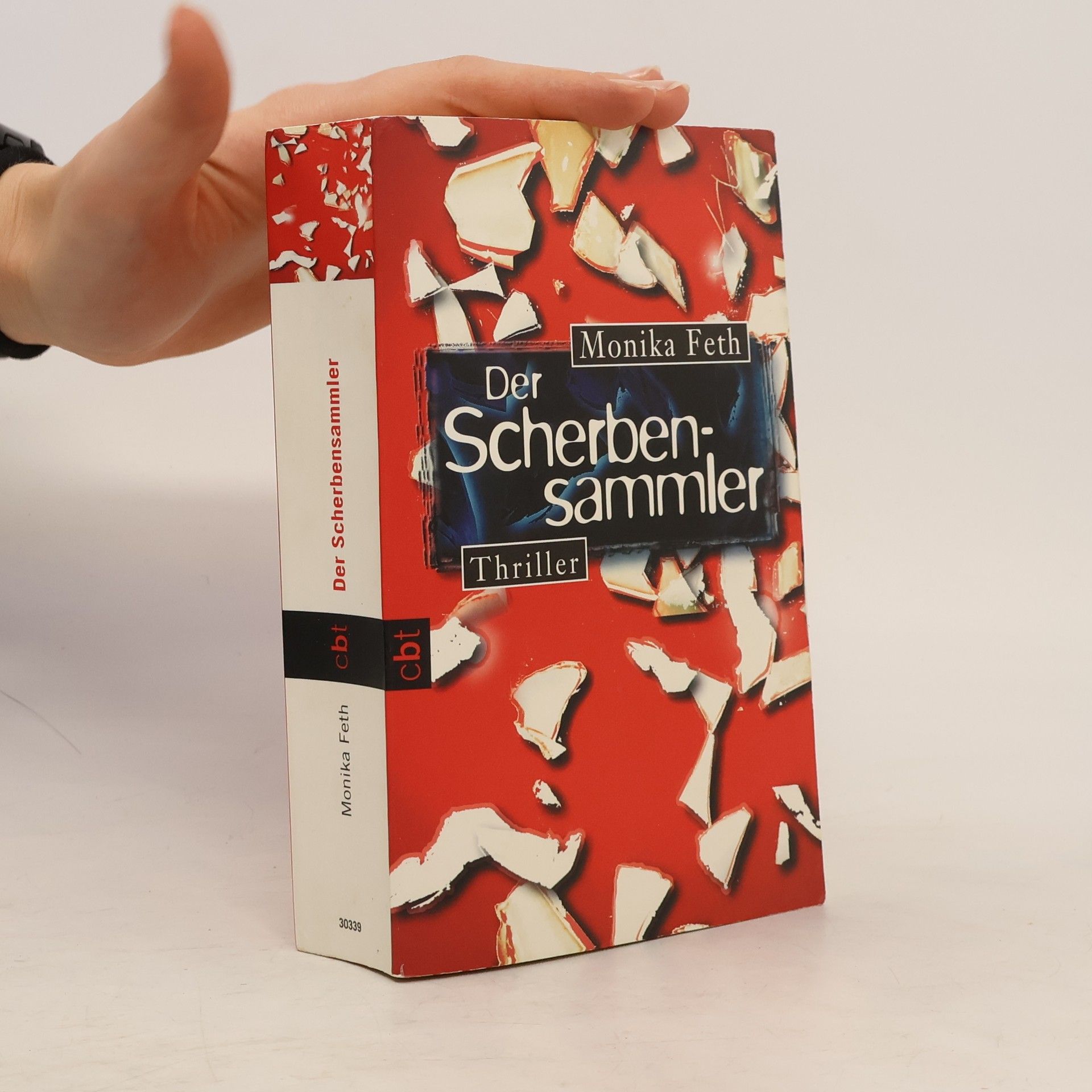 Monika Feth Der Scherbensammler