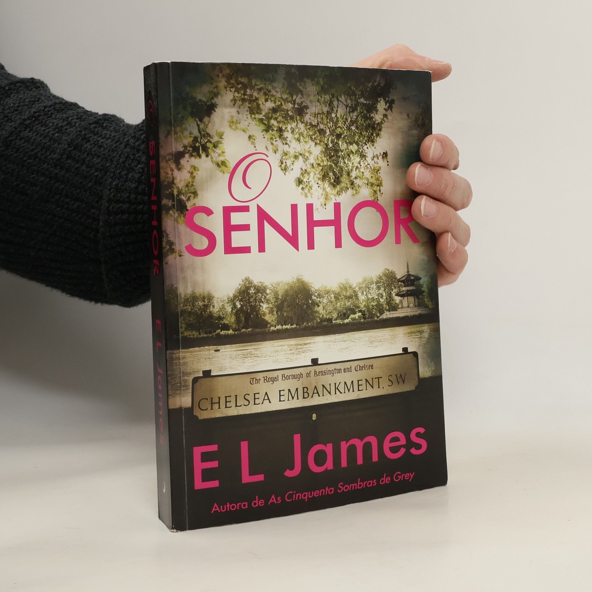 E. L. James O Senhor