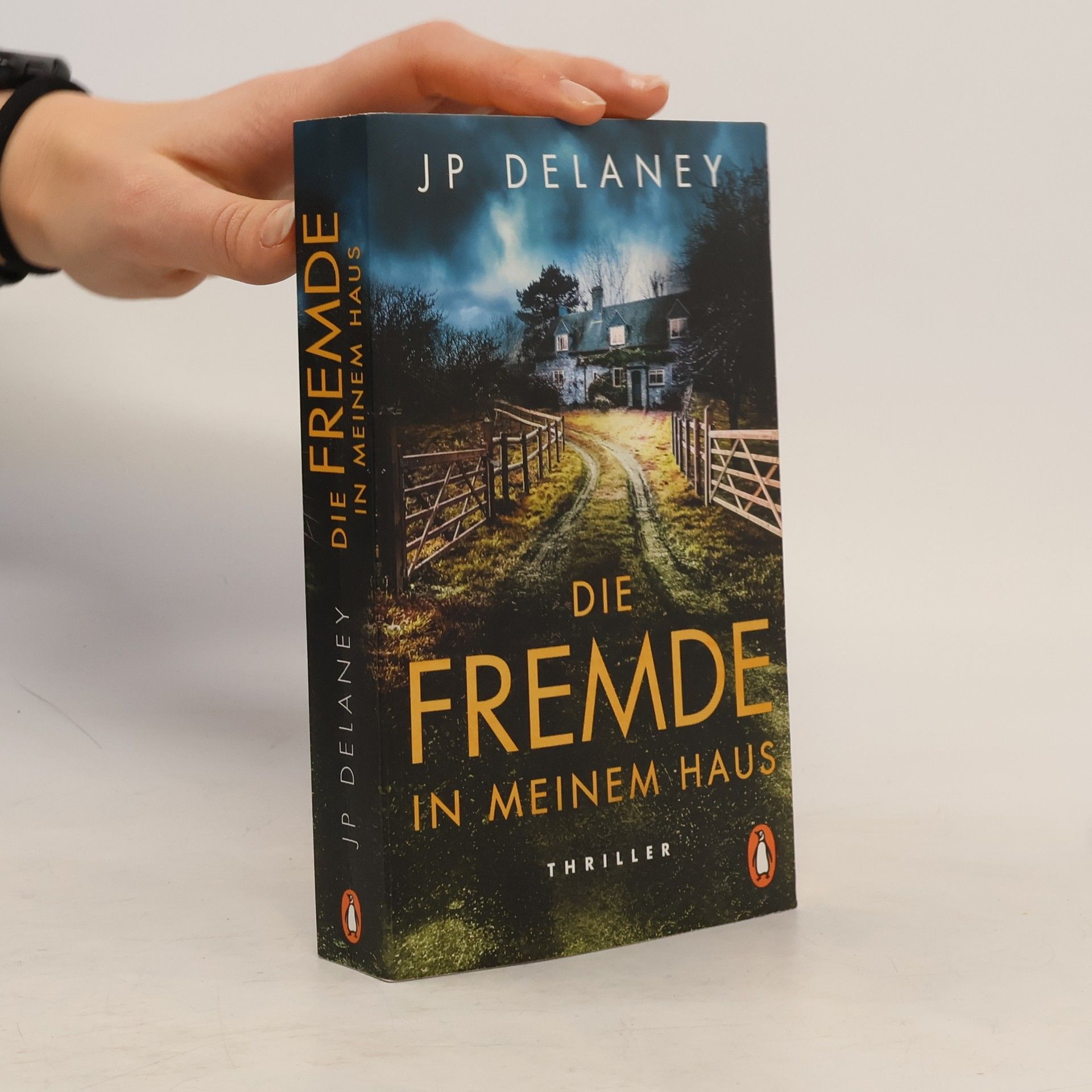 Delaney JP Die Fremde in meinem Haus