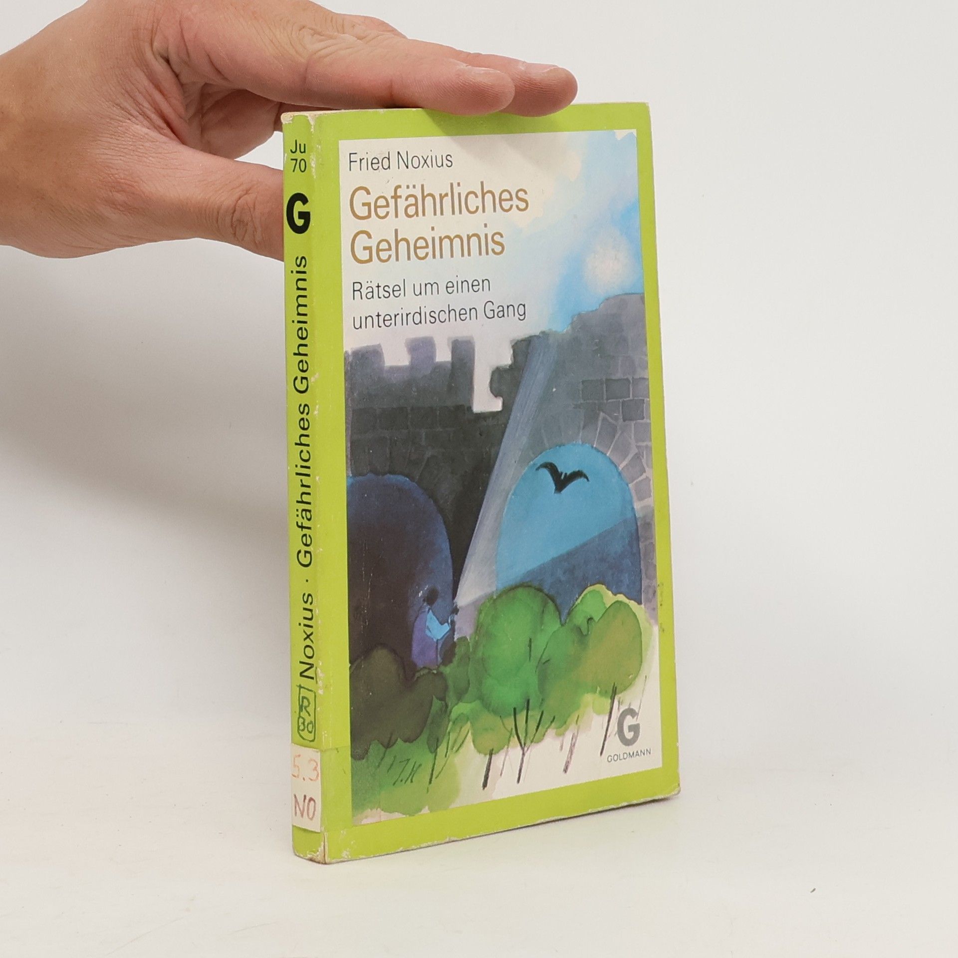 Fried Noxius Gefährliches Geheimnis