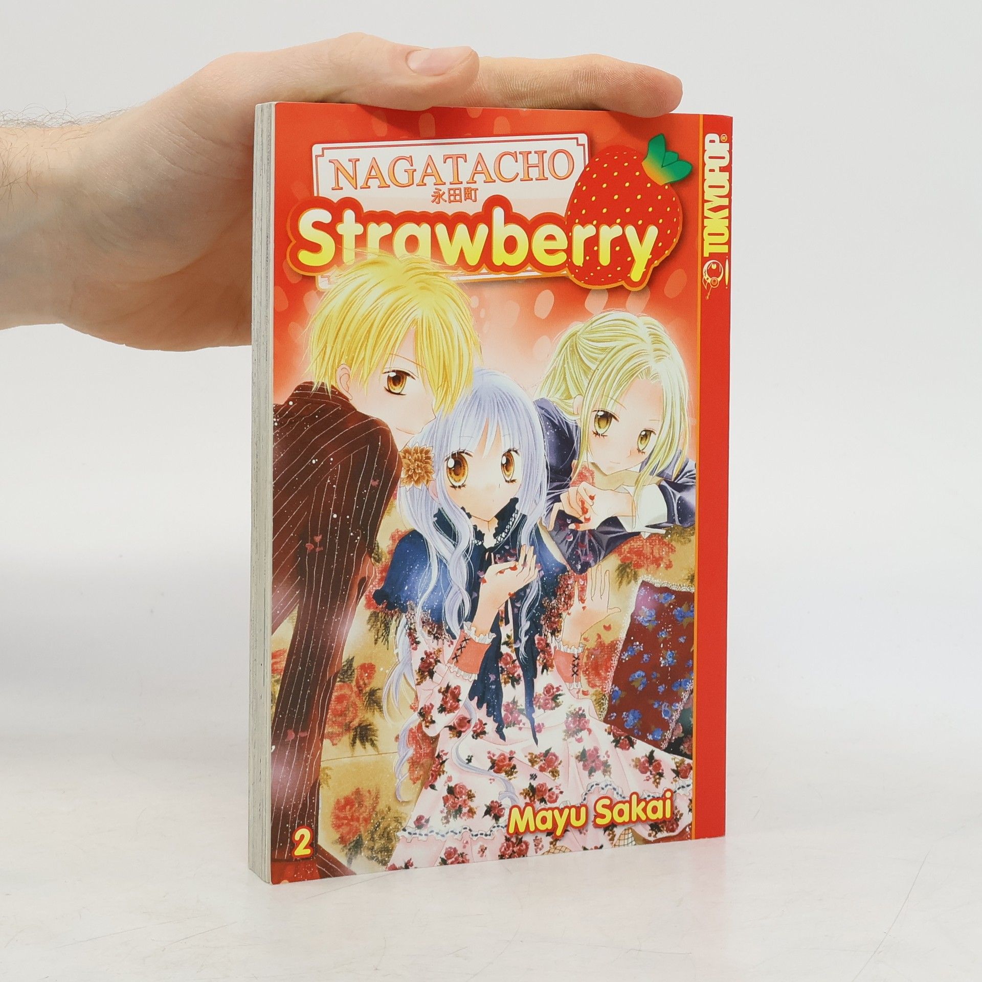 Mayu Sakai Nagatacho strawberry 2