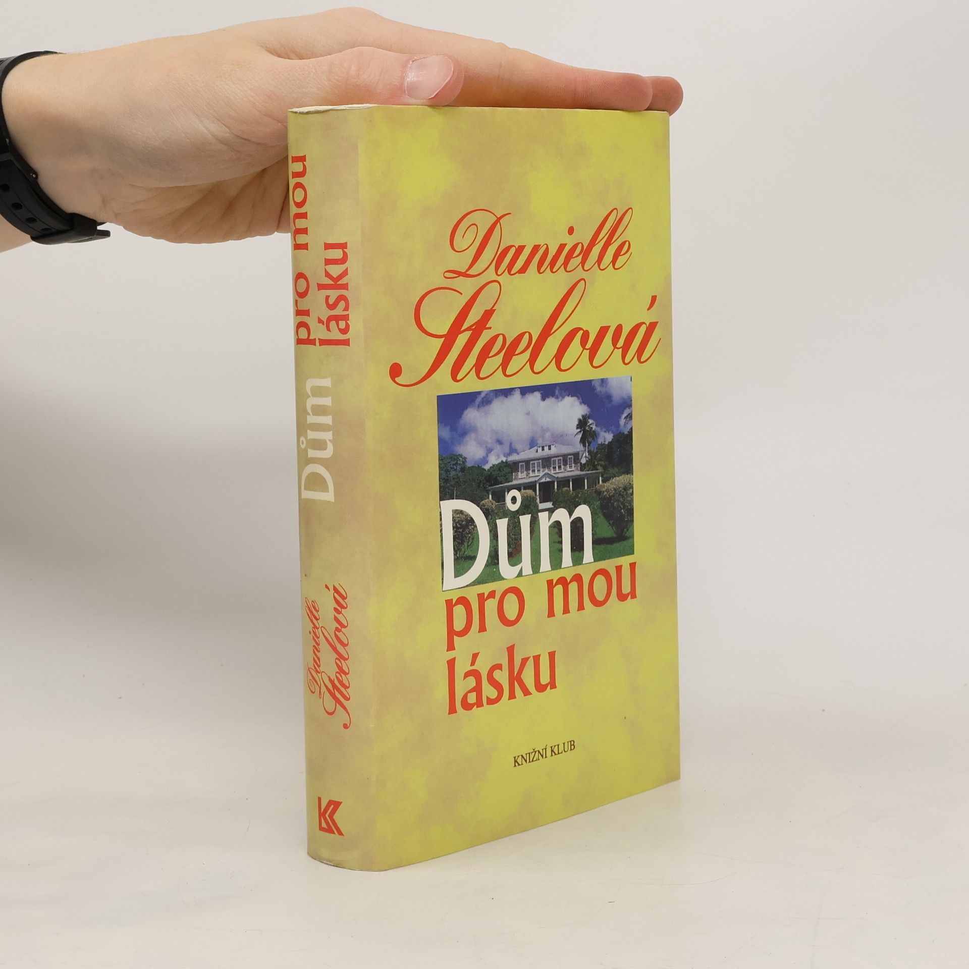 Danielle Steel Dům pro mou lásku