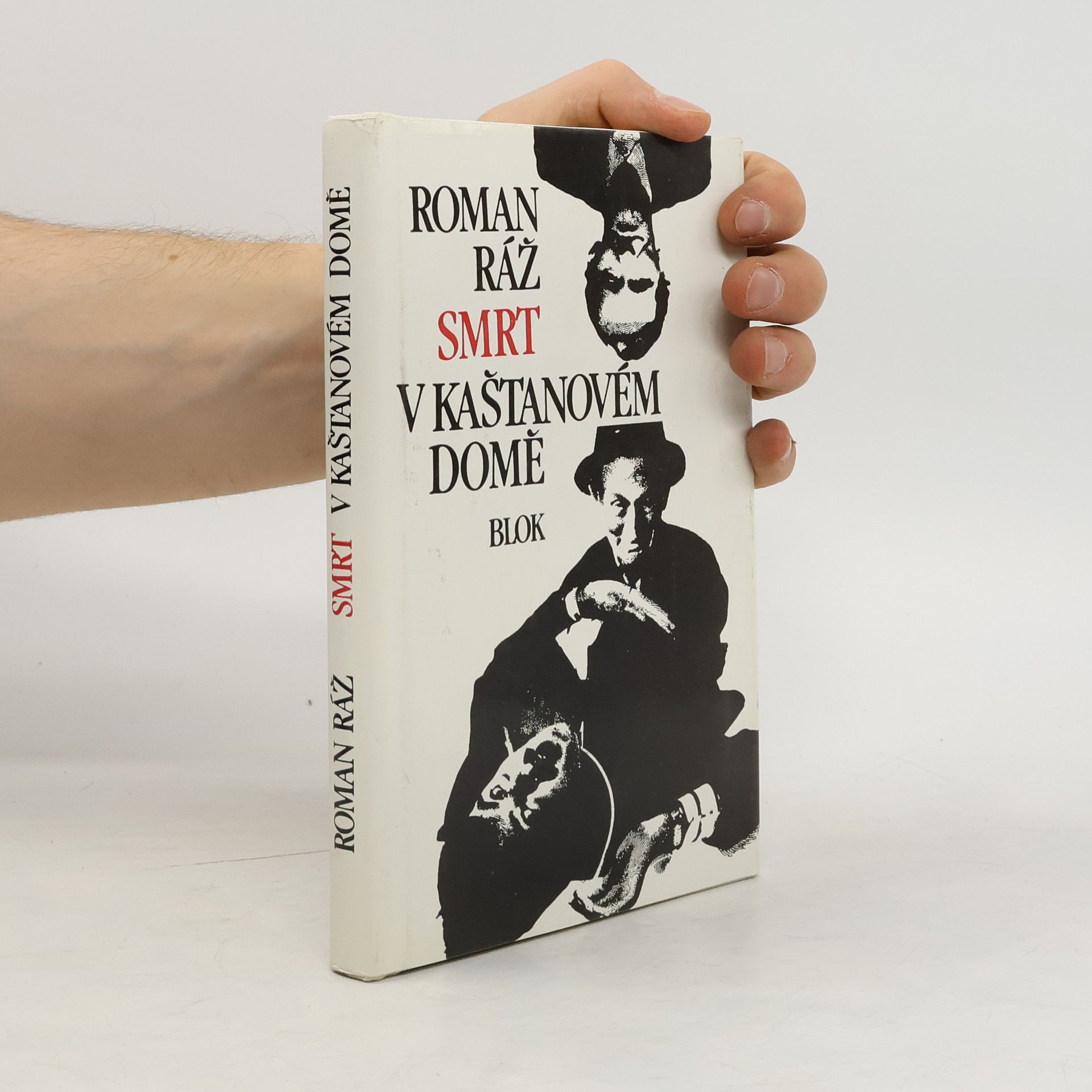 Roman Ráž Smrt v kaštanovém domě