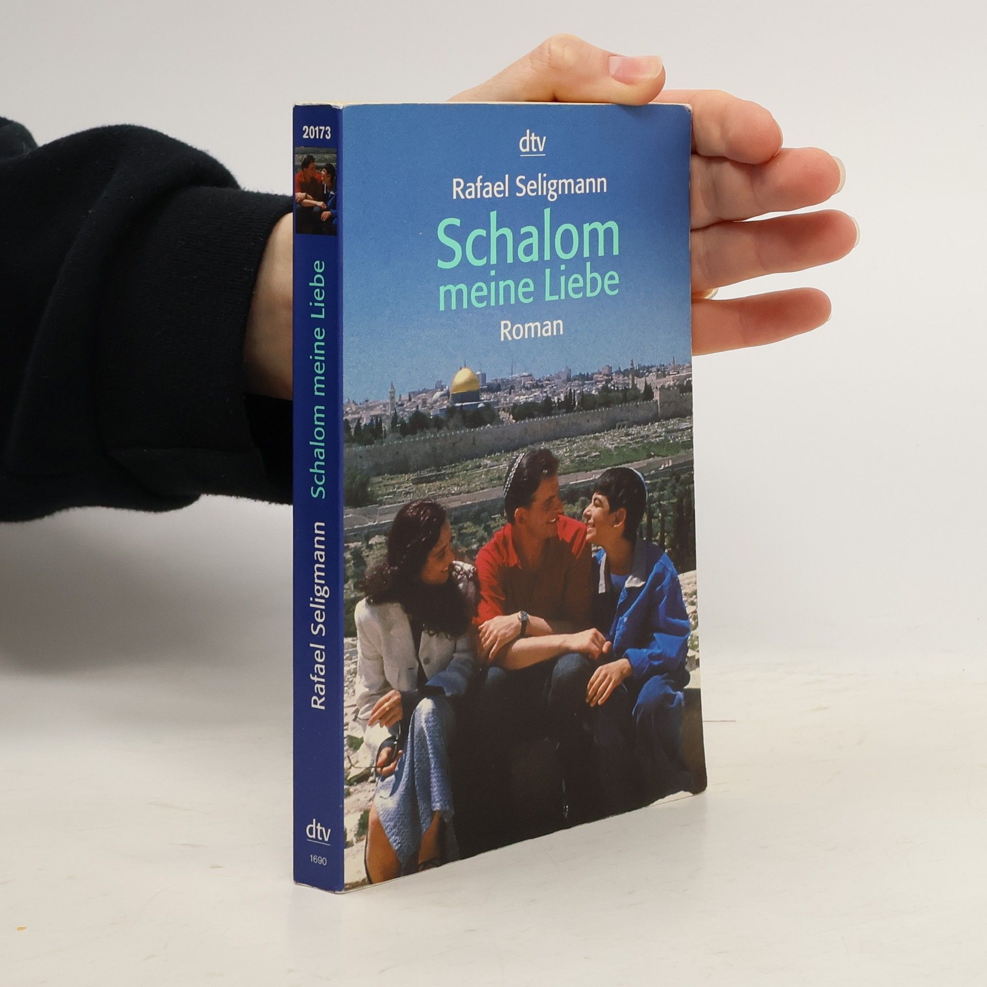 Schalom meine Liebe. Roman