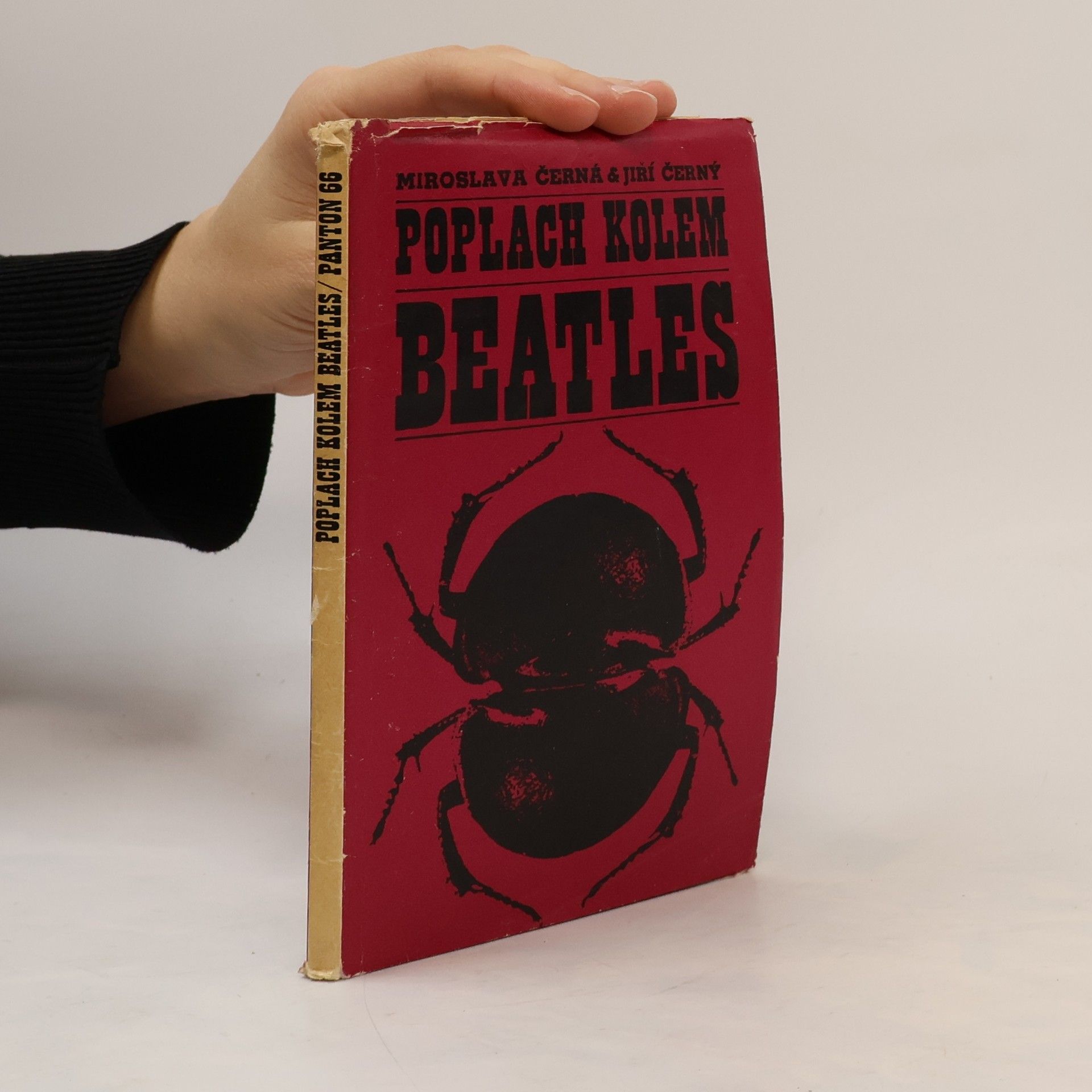 Poplach kolem Beatles