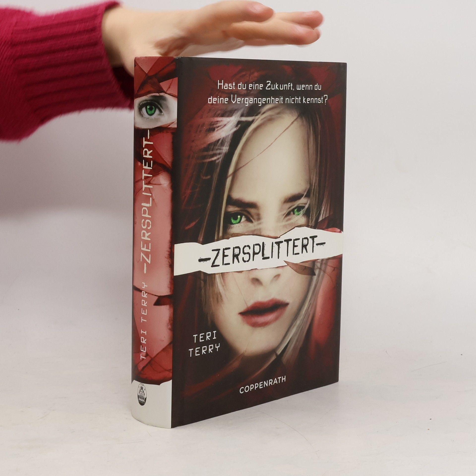 Teri Terry Zersplittert