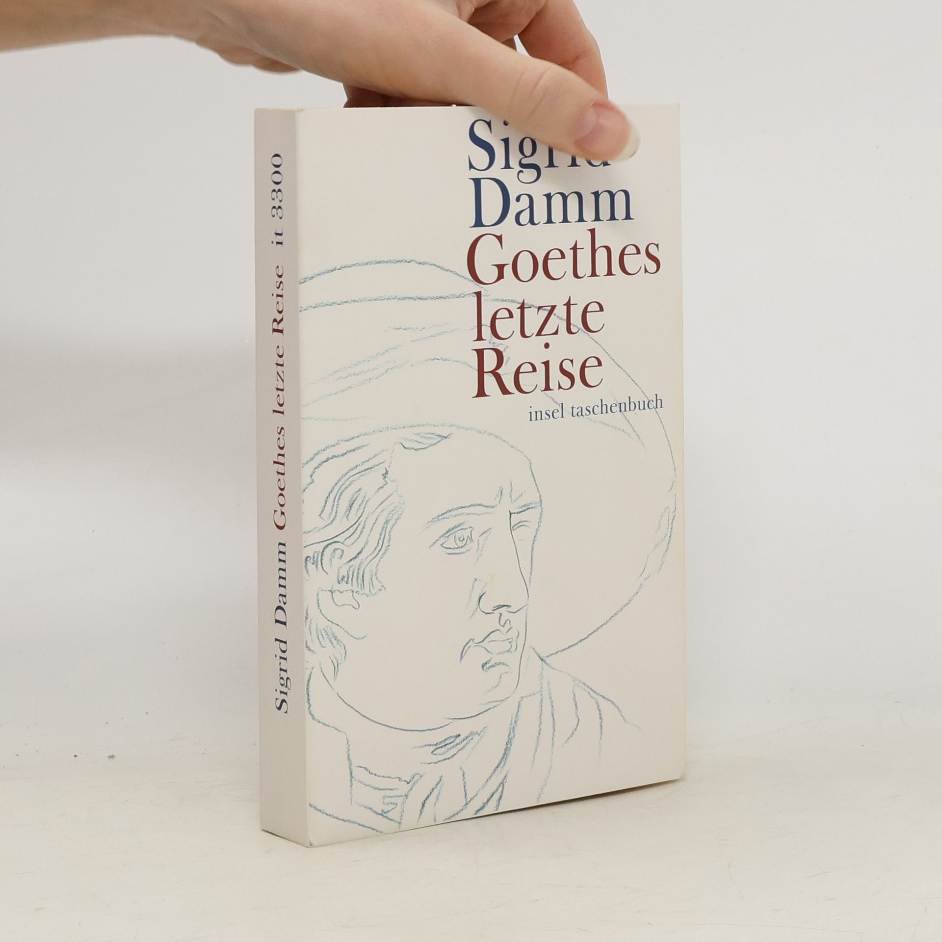 Sigrid Damm Goethes letzte Reise