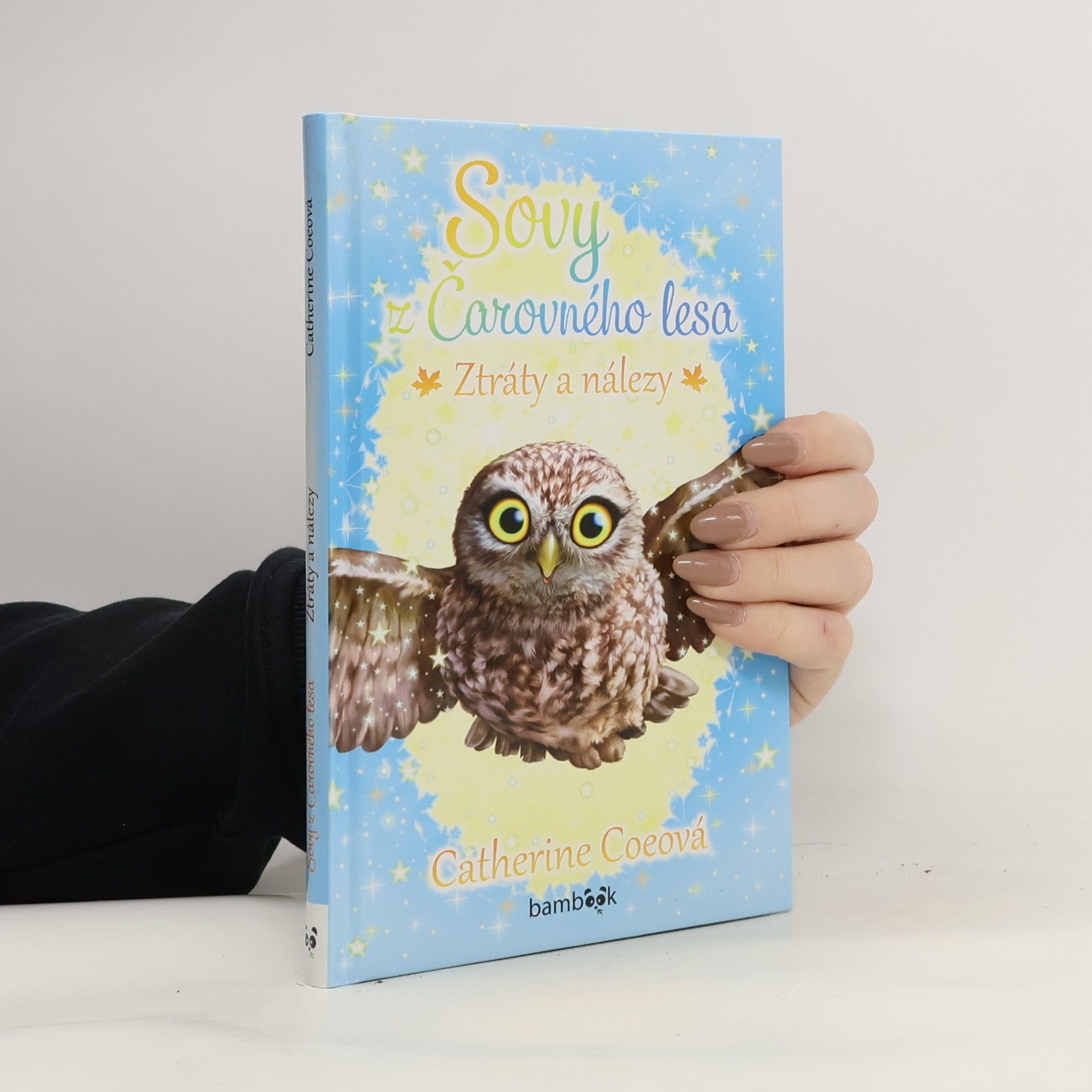 Sovy z Čarovného lesa - Ztráty a nálezy