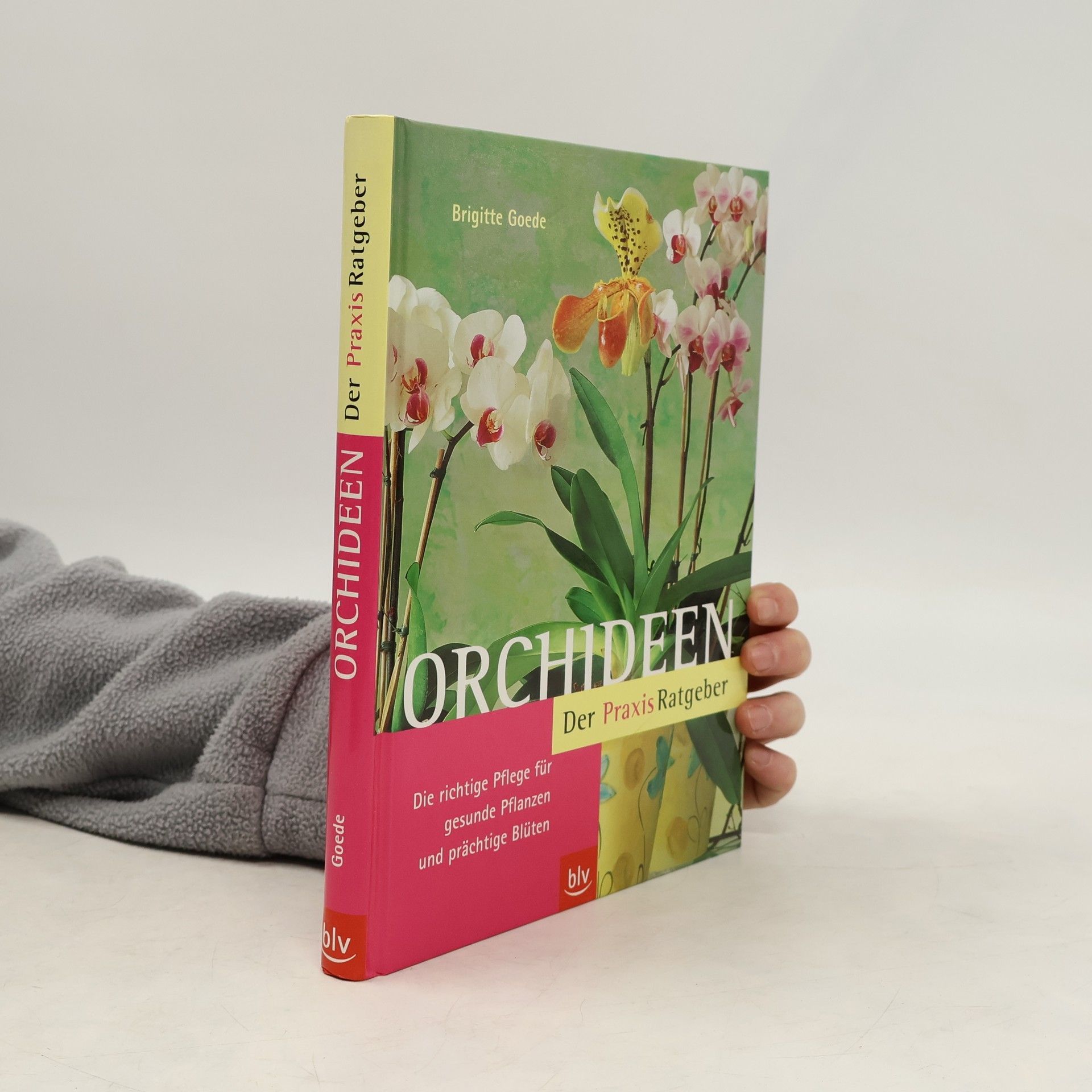 Brigitte Goede Orchideen