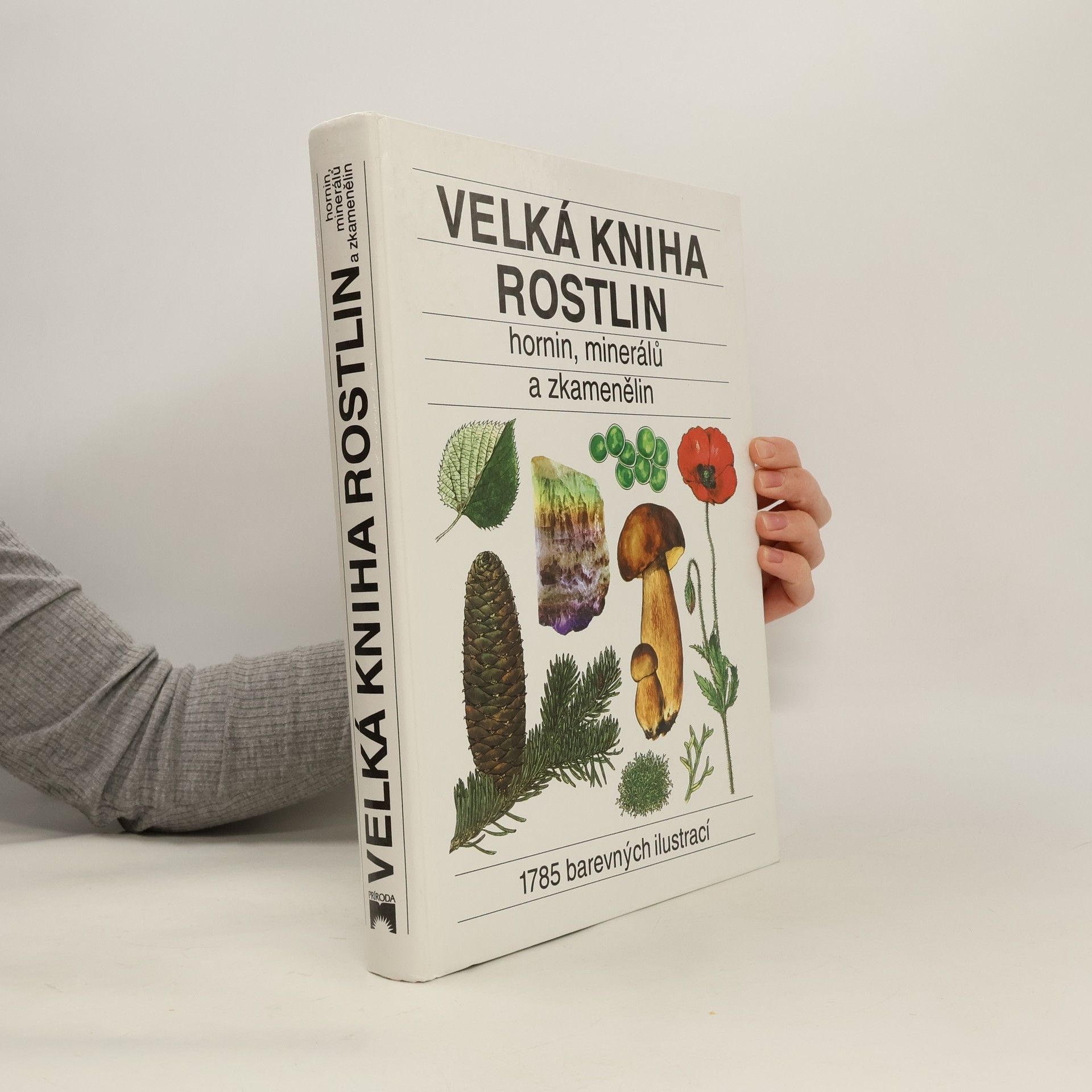 Jindřich Krejča Velká kniha rostlin, hornin, minerálů a zkamenělin
