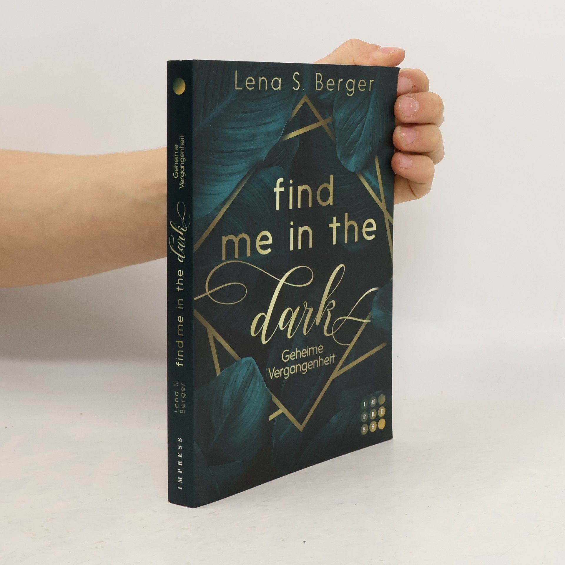 Find Me in the Dark. Geheime Vergangenheit