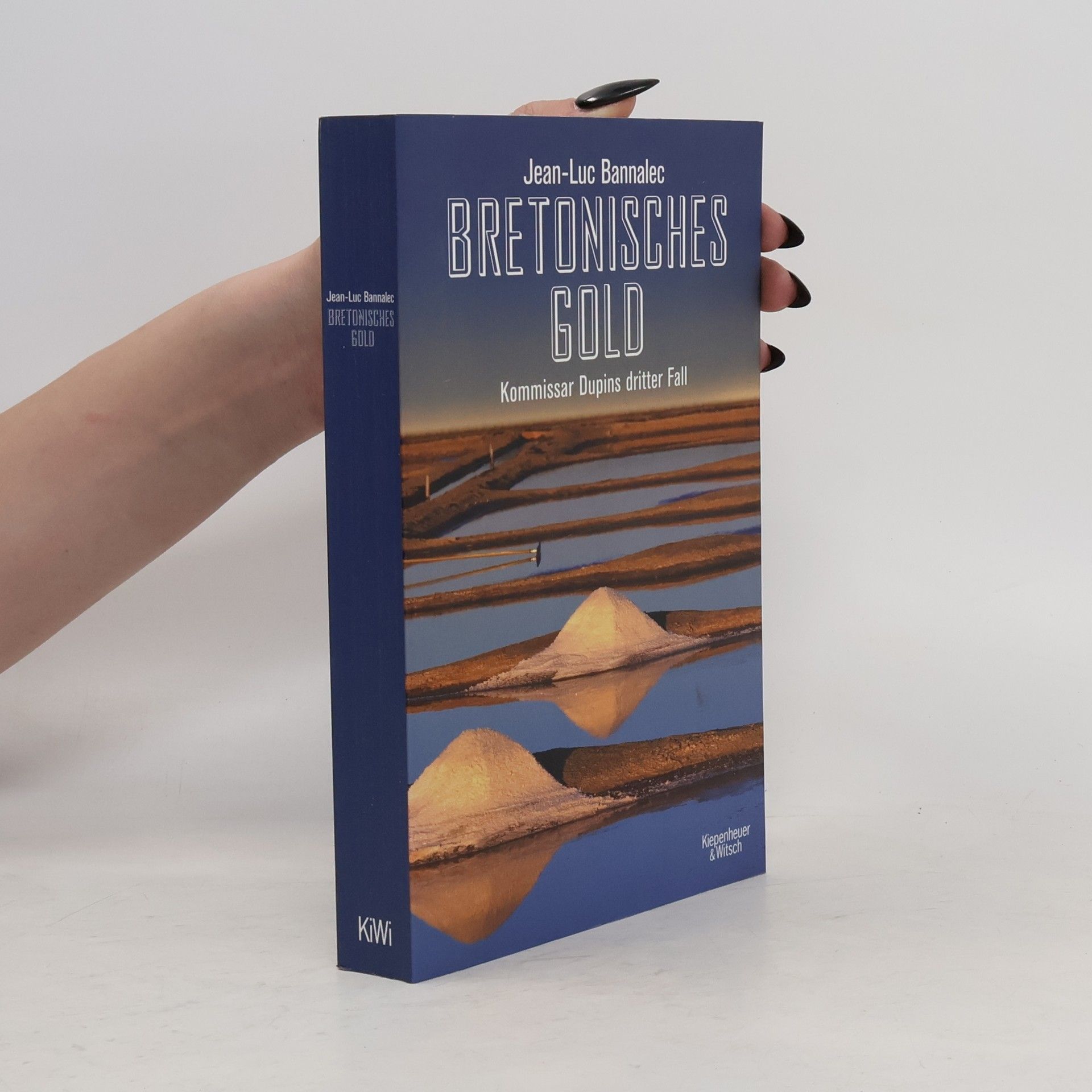 Jörg Bong Bretonisches Gold: Kommissar Dupins dritter Fall