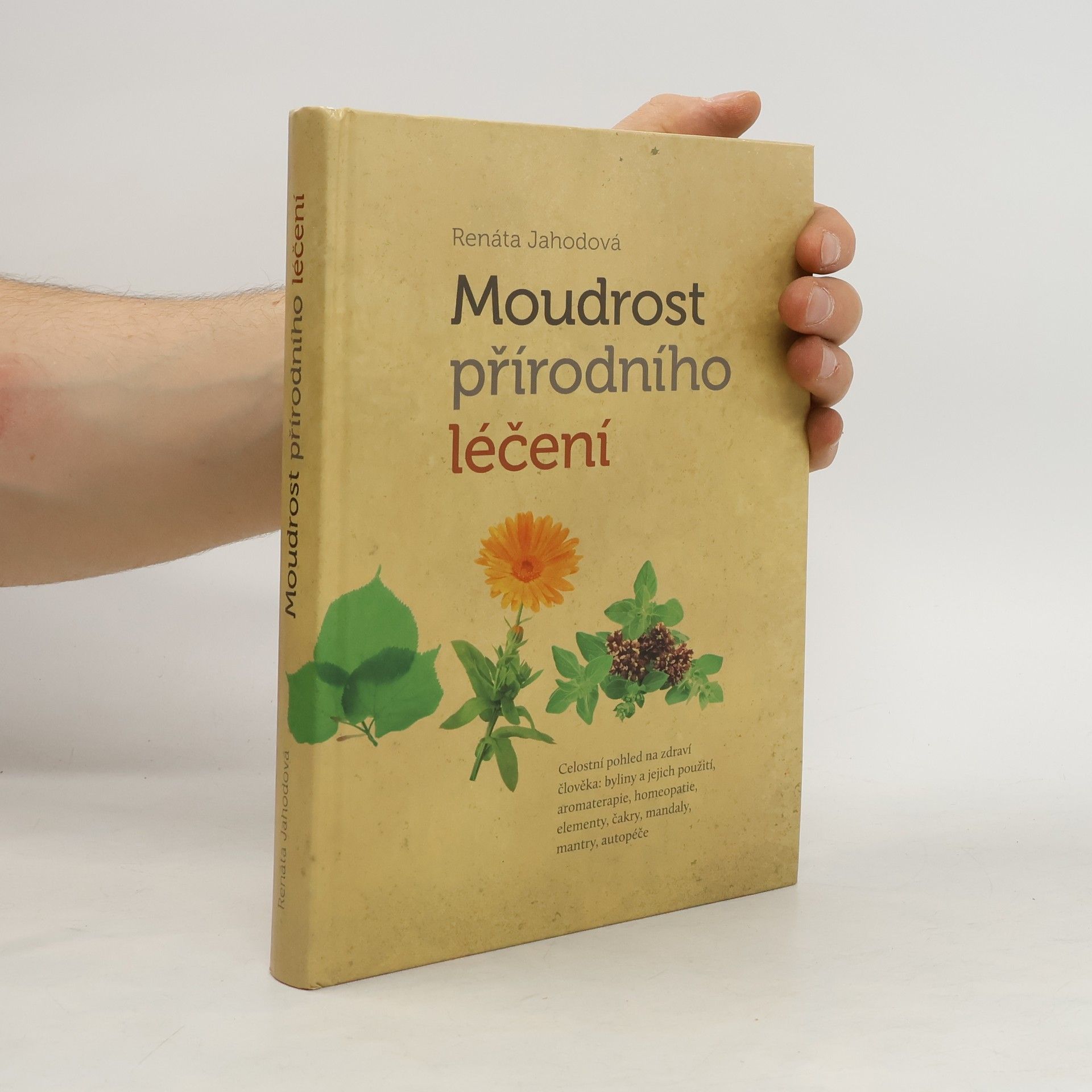 Renáta Jahodová Moudrost přírodního léčení