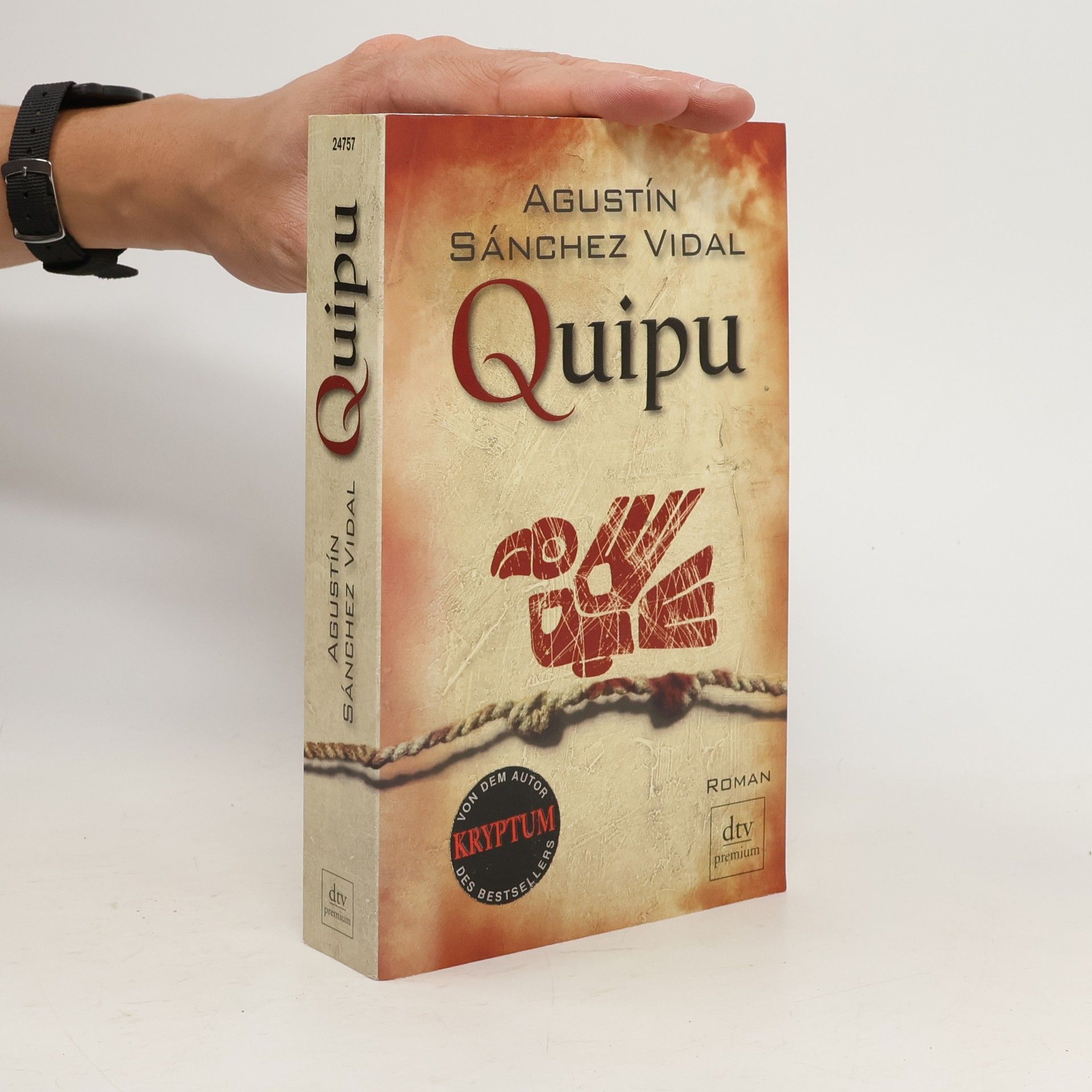 Agustín Sánchez Vidal Quipu