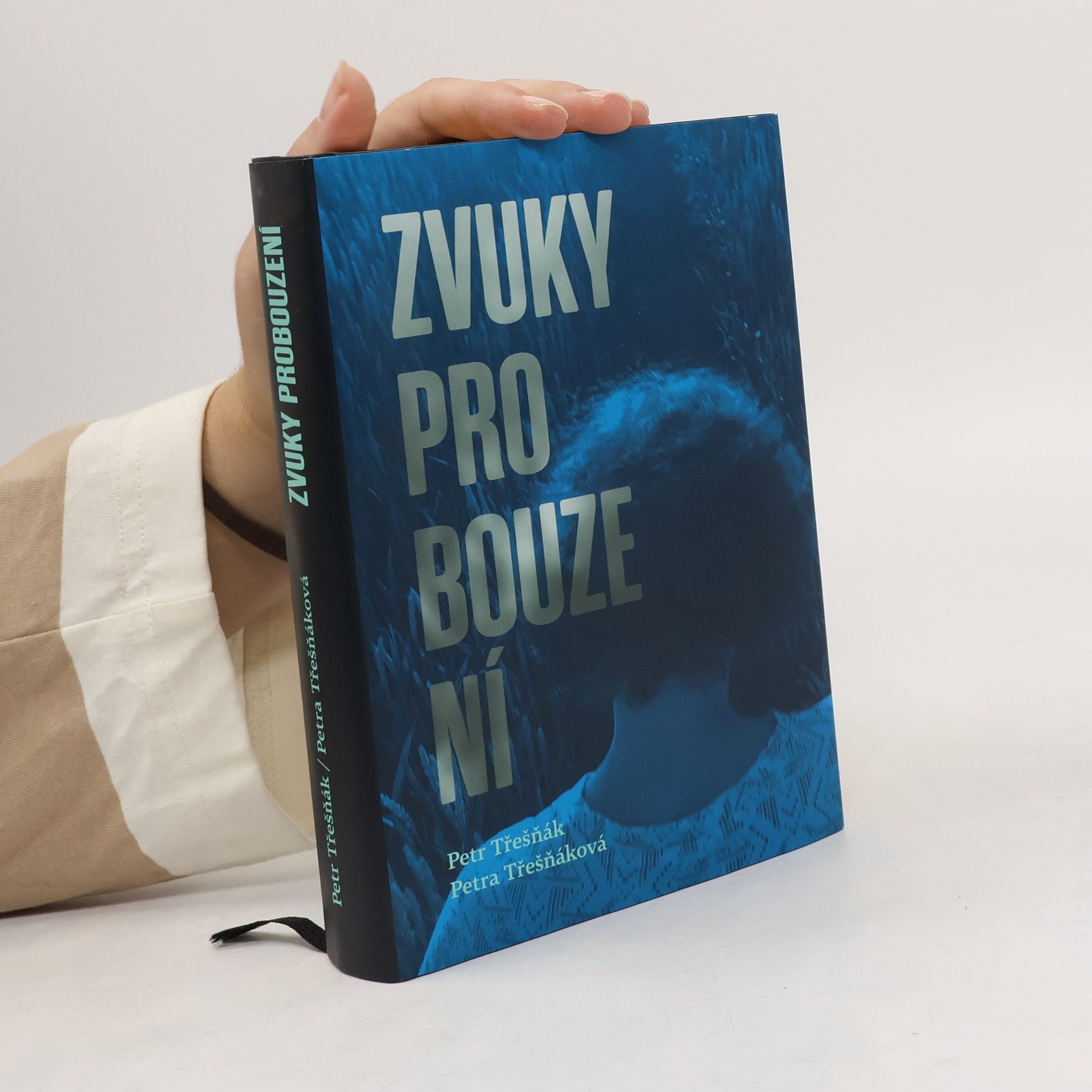 Petr Třešňák Zvuky probouzení