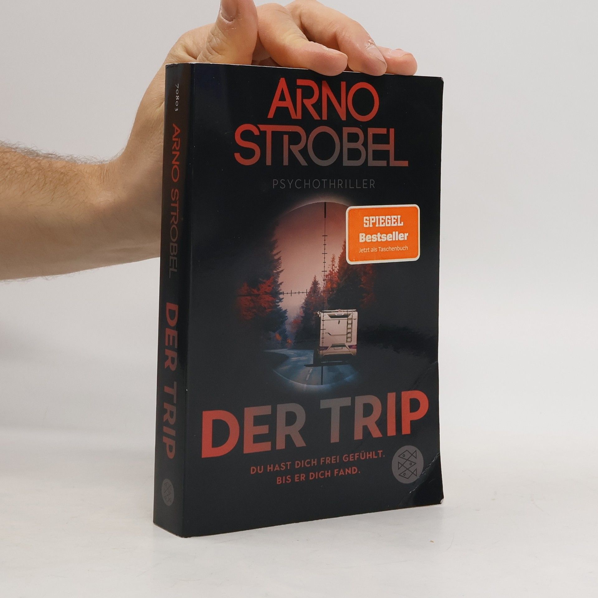 Arno Strobel Der Trip