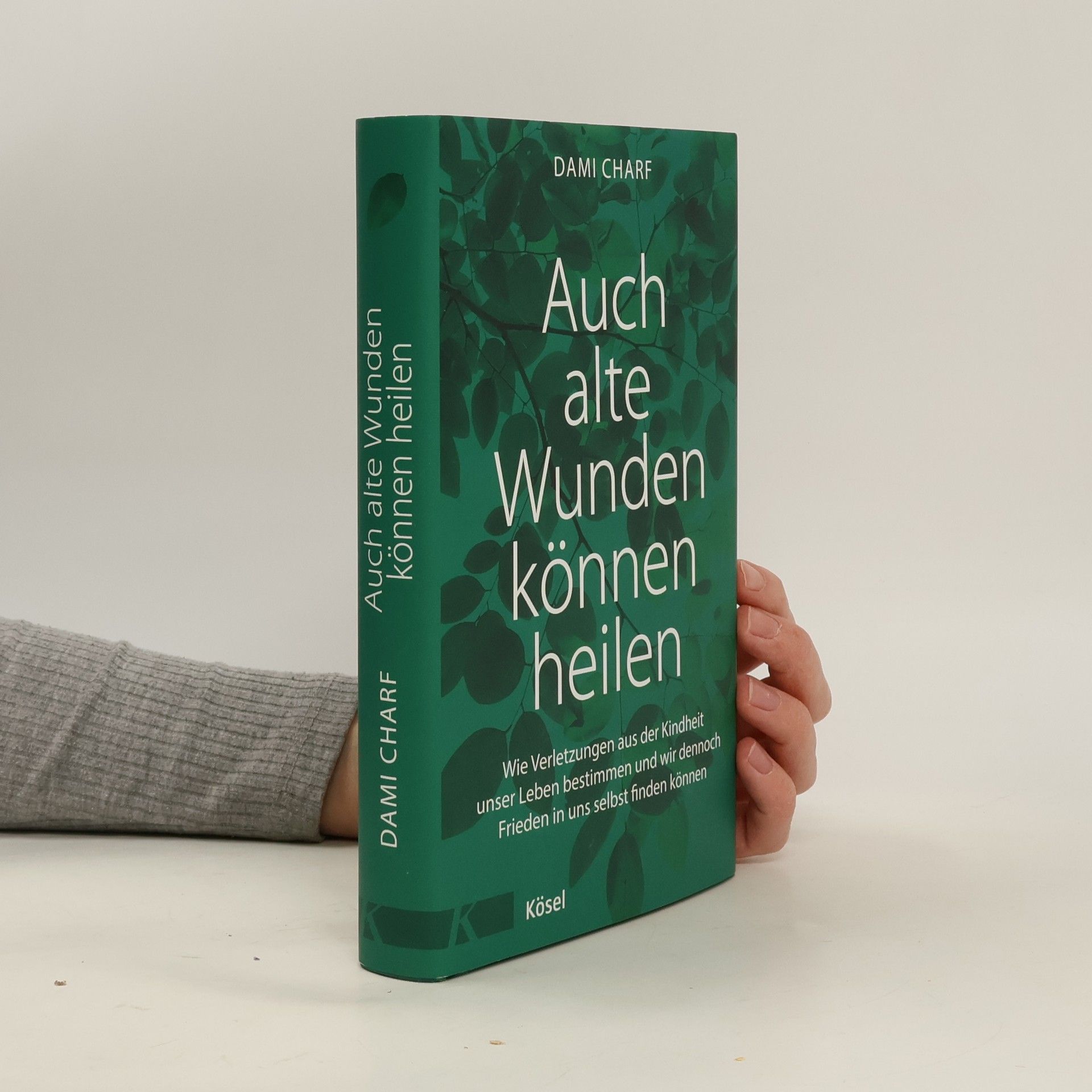 Dami Charf Auch alte Wunden können heilen