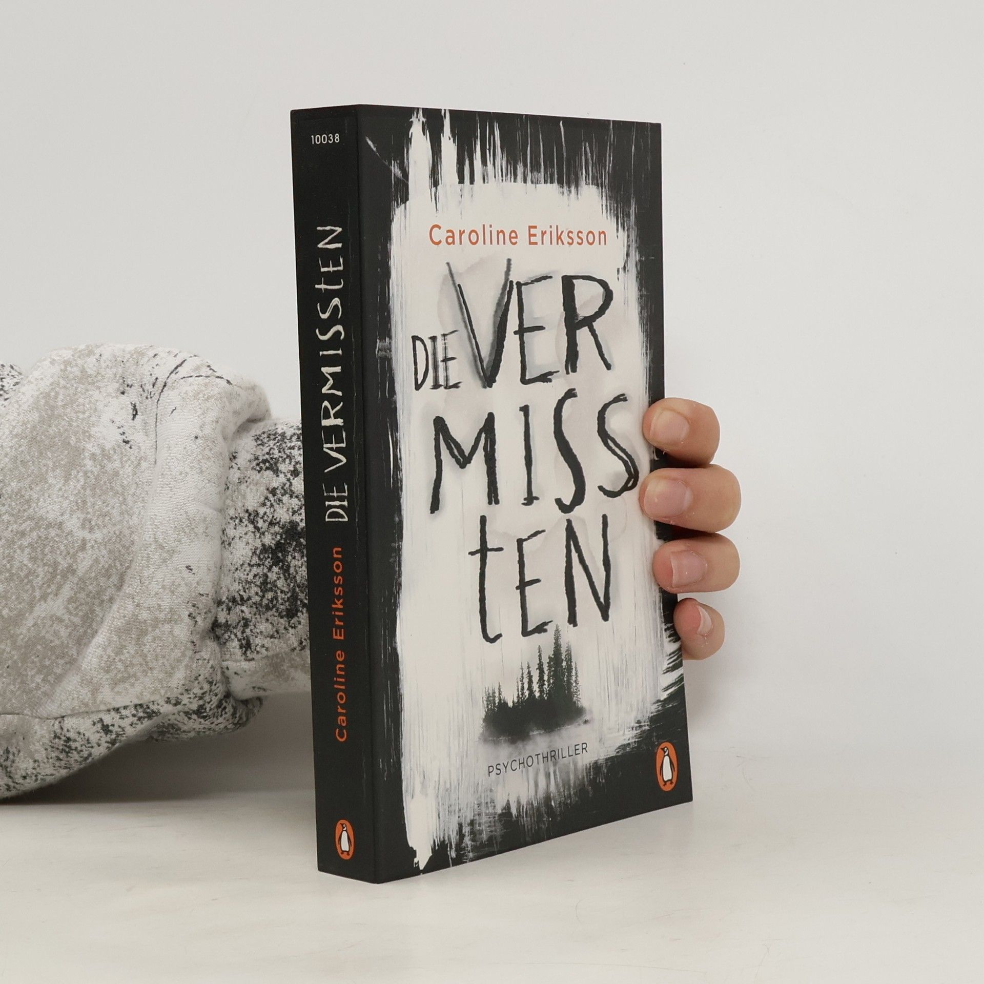 Caroline Eriksson Die Vermissten