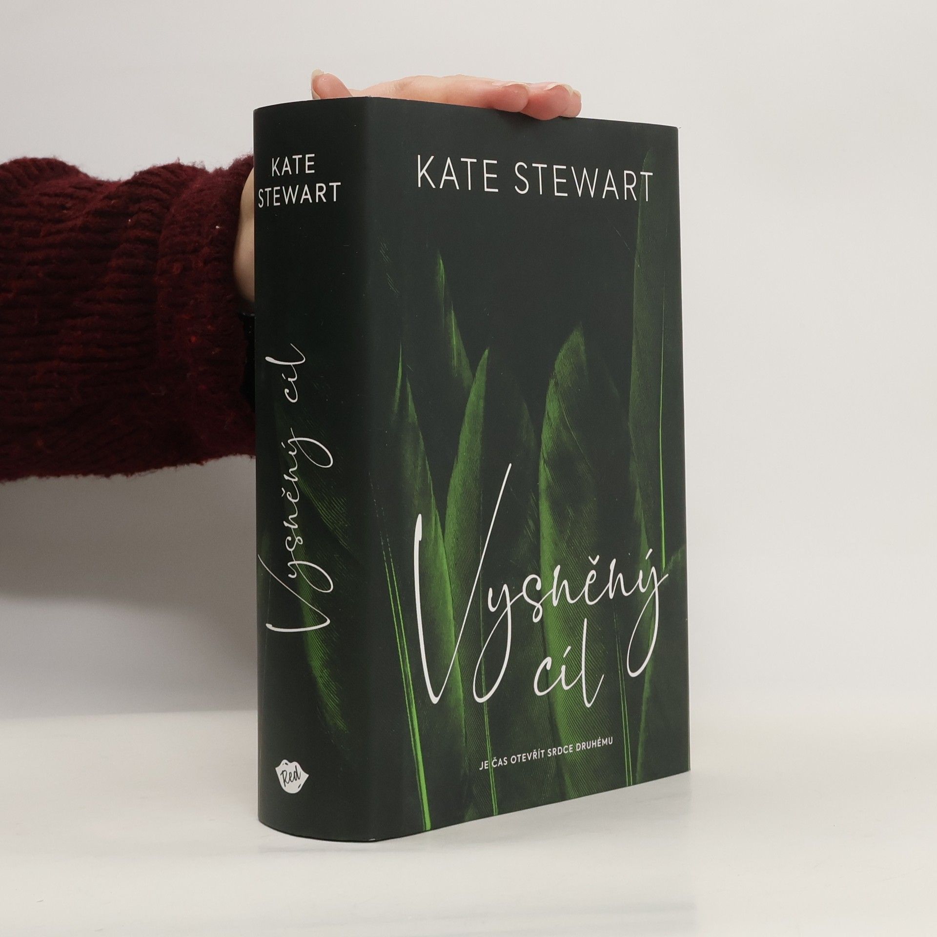 Kate Stewart Vysněný cíl. Kniha třetí