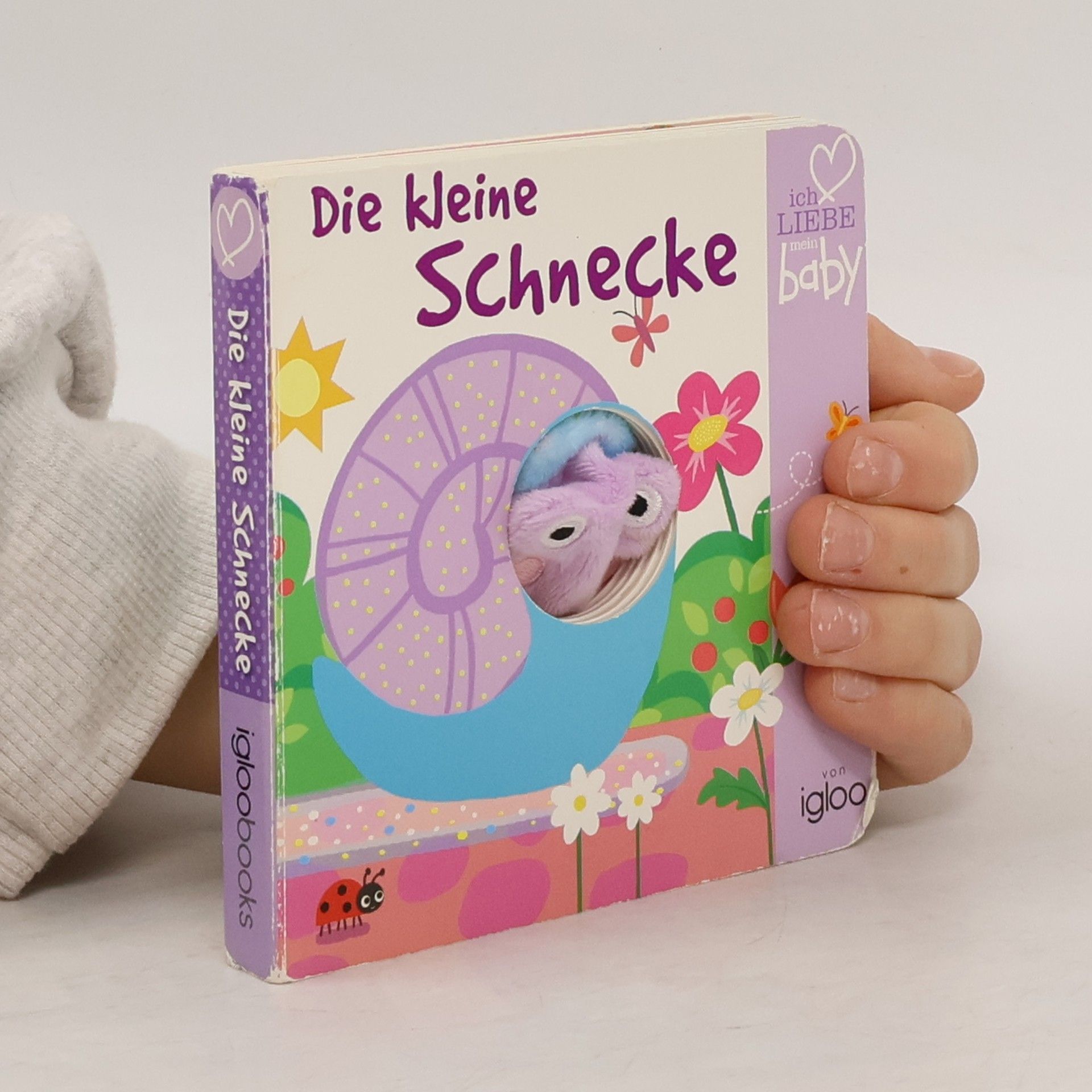 Collectif d'auteurs Die kleine Schnecke
