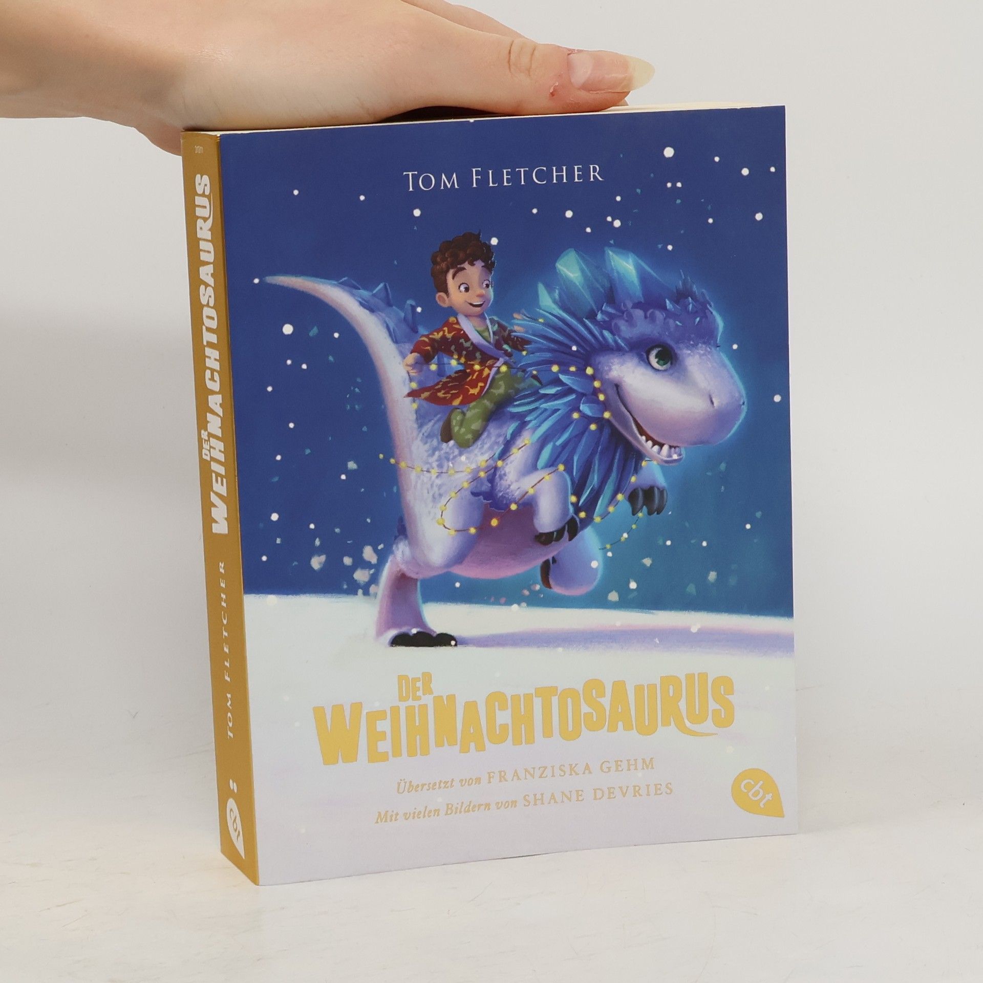 Tom Fletcher Der Weihnachtosaurus