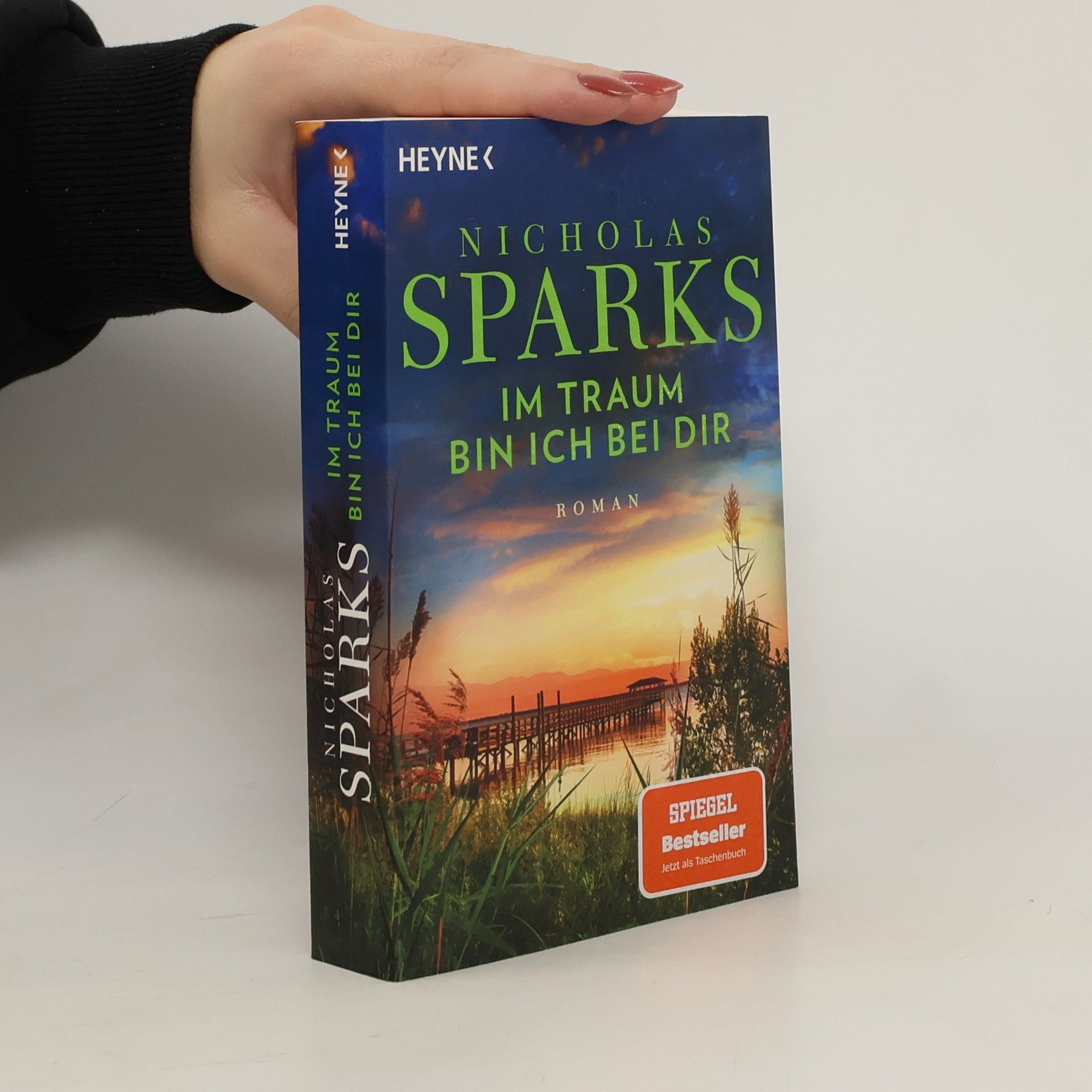 Nicholas Sparks Im Traum bin ich bei dir