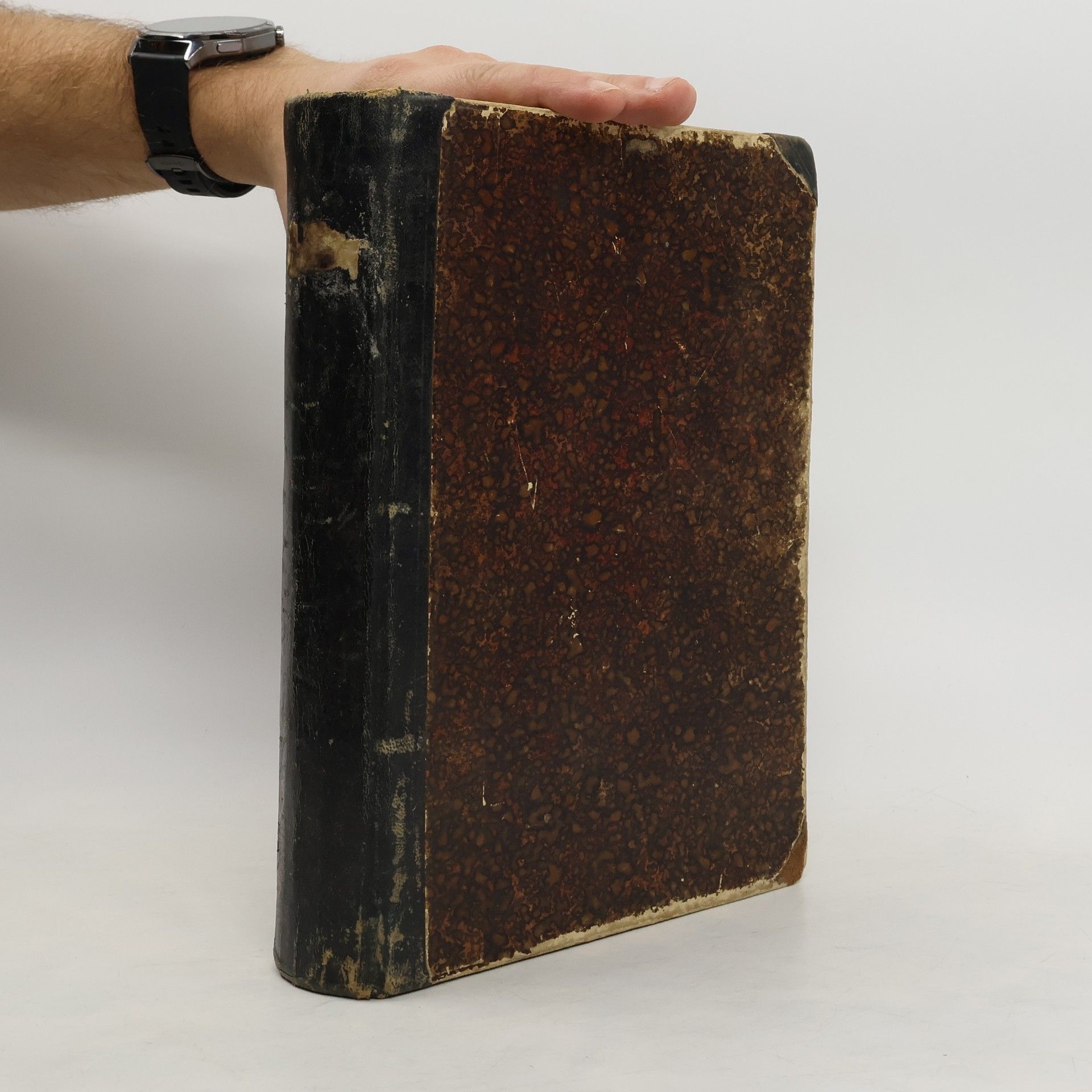 Jan Kořenský K protinožcům