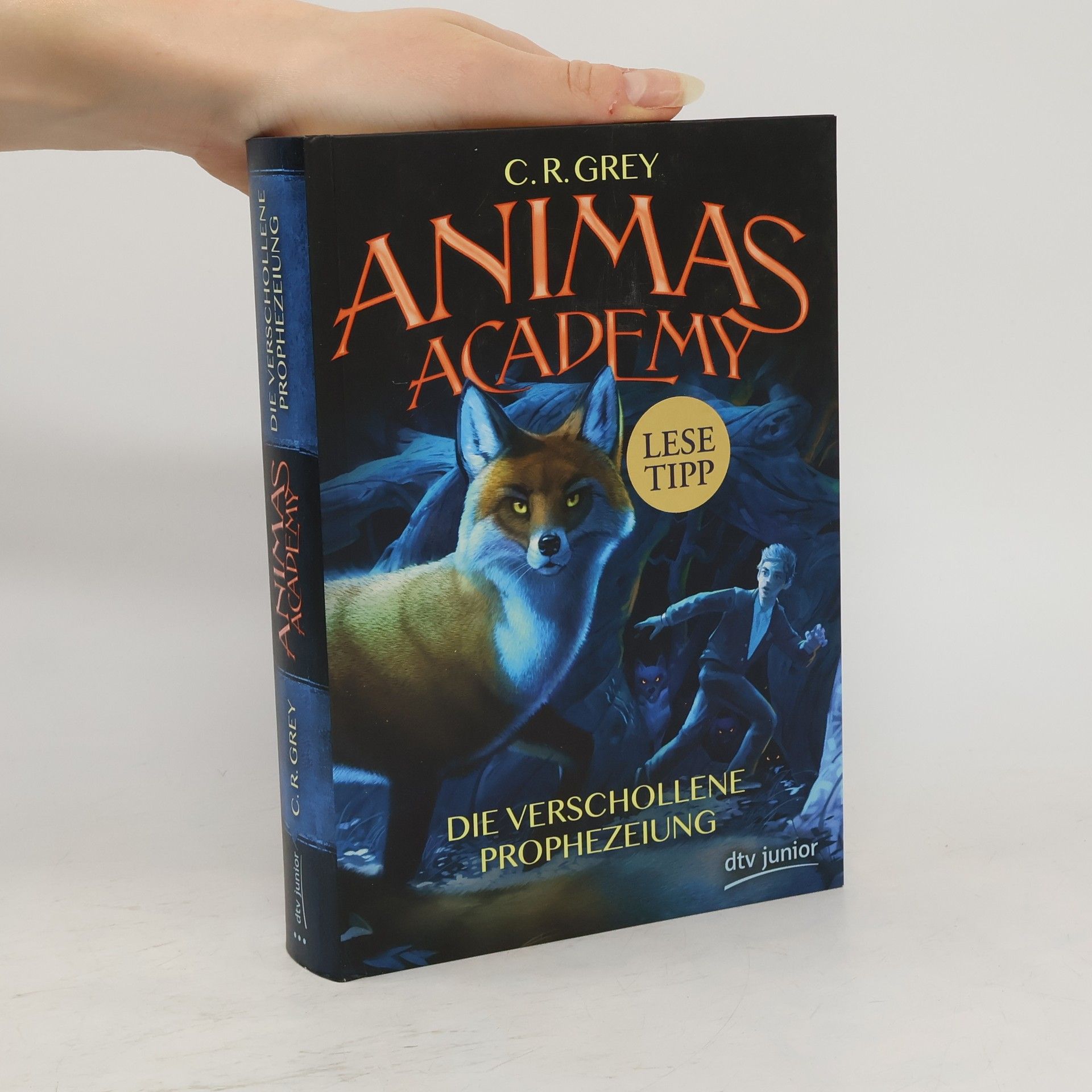 C. R. Grey Animas Academy - die verschollene Prophezeiung