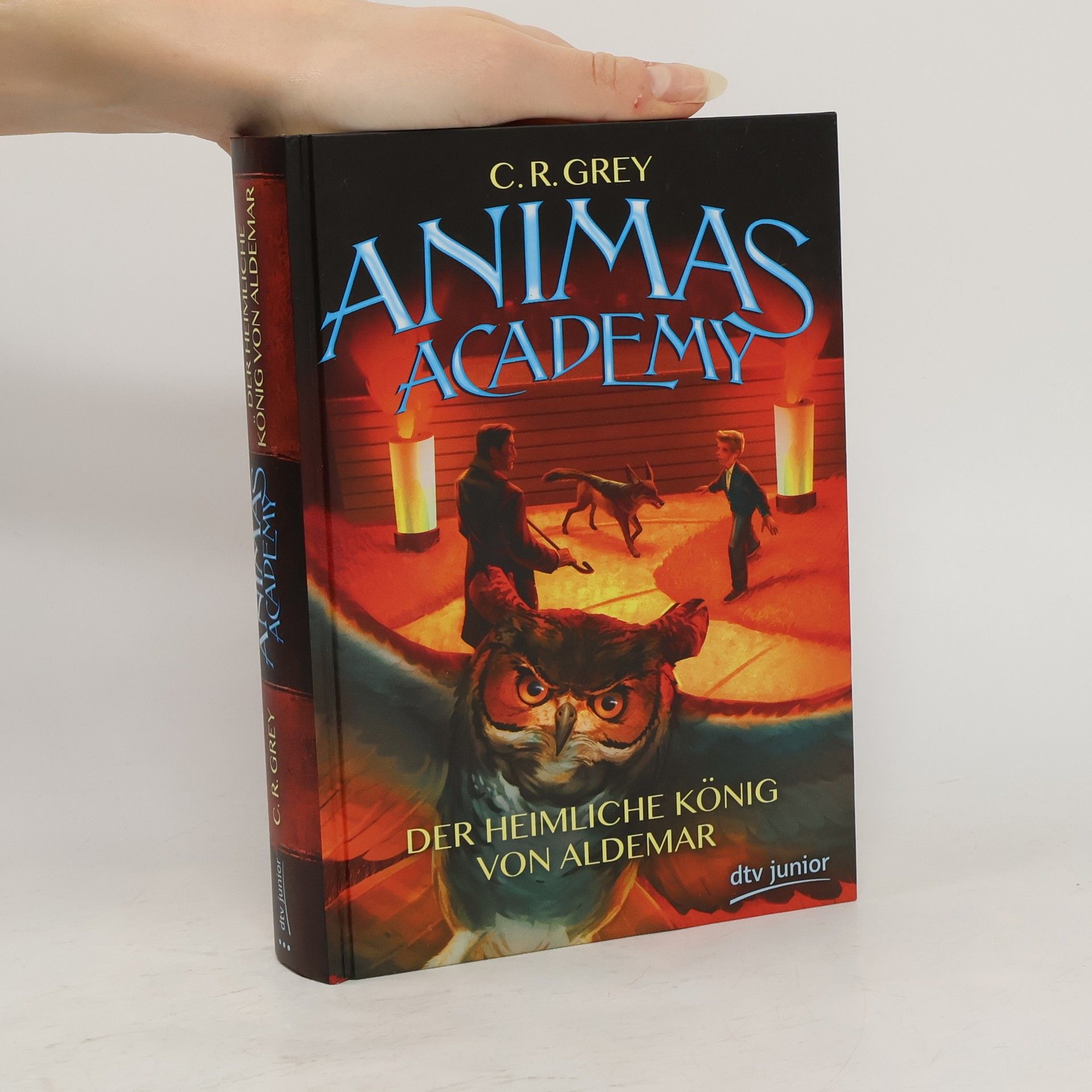 C. R. Grey Animas Academy – der heimliche König von Aldemar