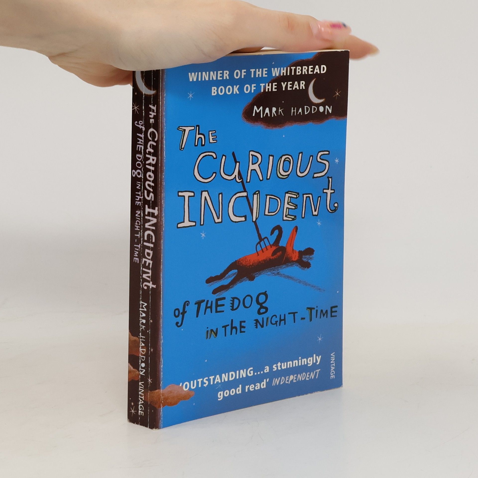 Mark Haddon The Curious Incident of The Dog in The Night-Time