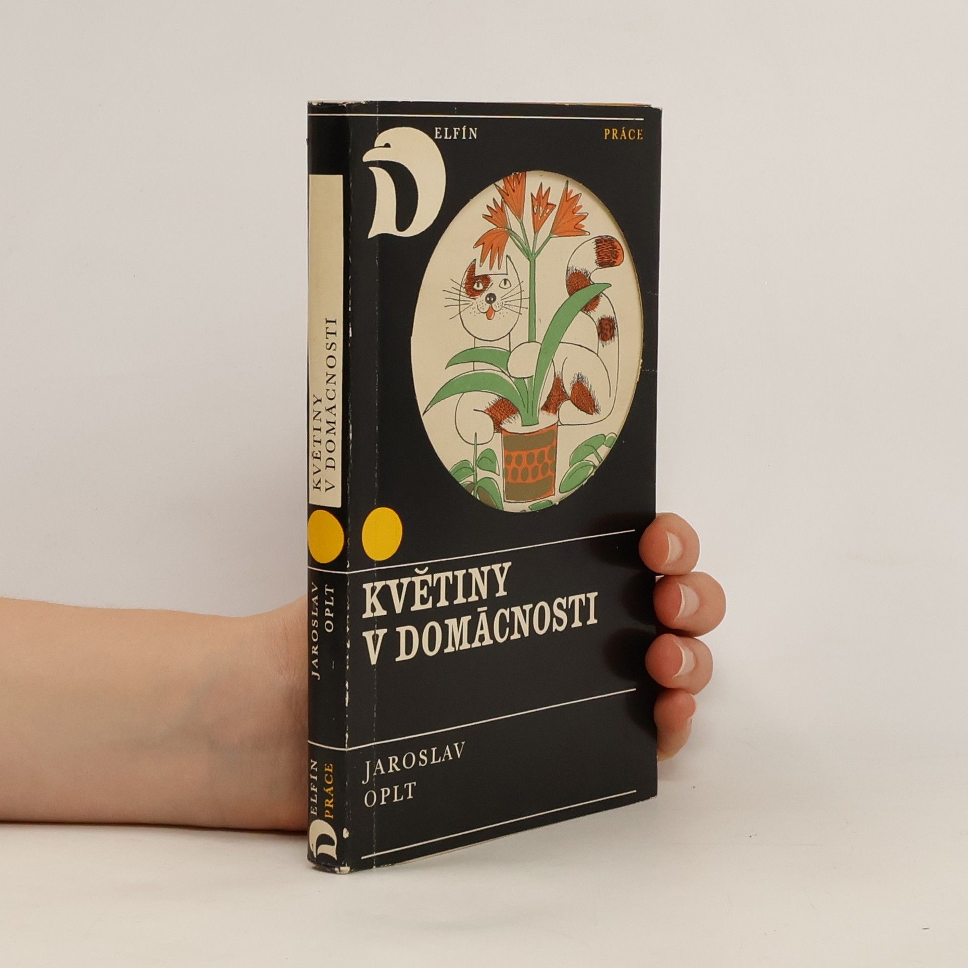 Jaroslav Oplt Květiny v domácnosti