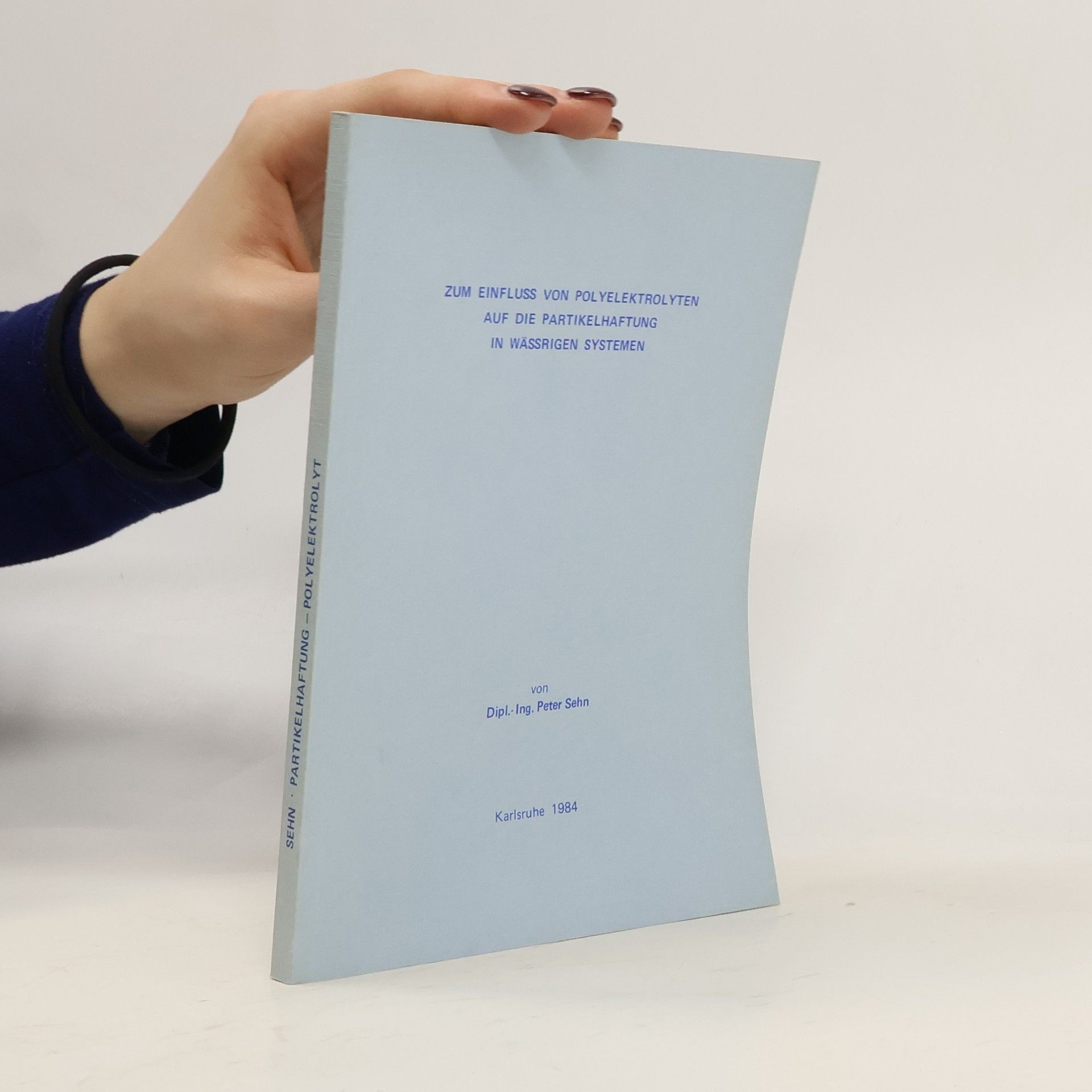 Zum Einfluss von Polyelectrolyte auf die Partikelhaftung in Wässrigen Systemen