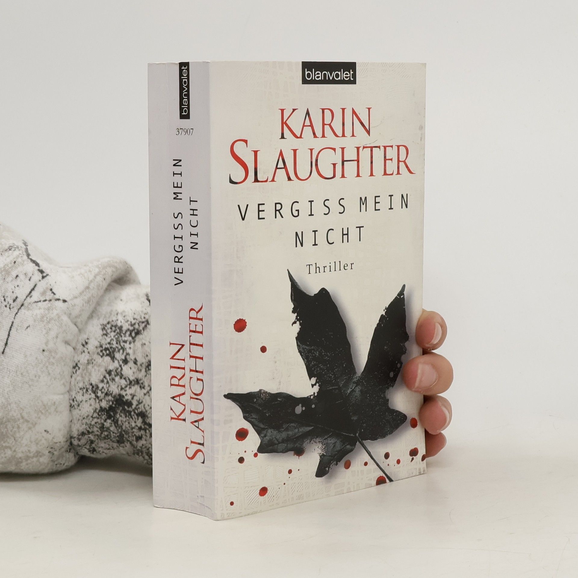 Karin Slaughter Vergiss mein nicht