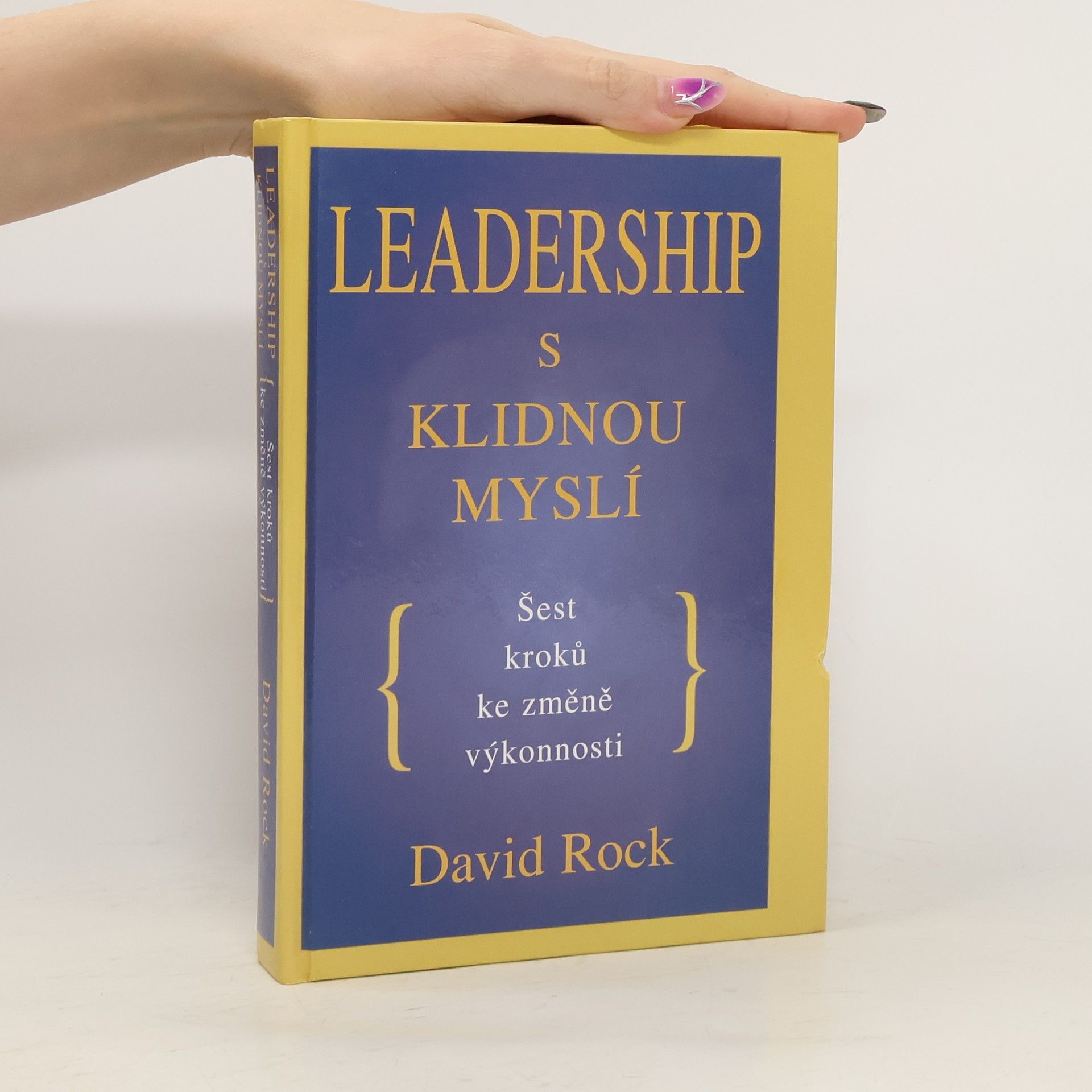 David Rock Leadership s klidnou myslí