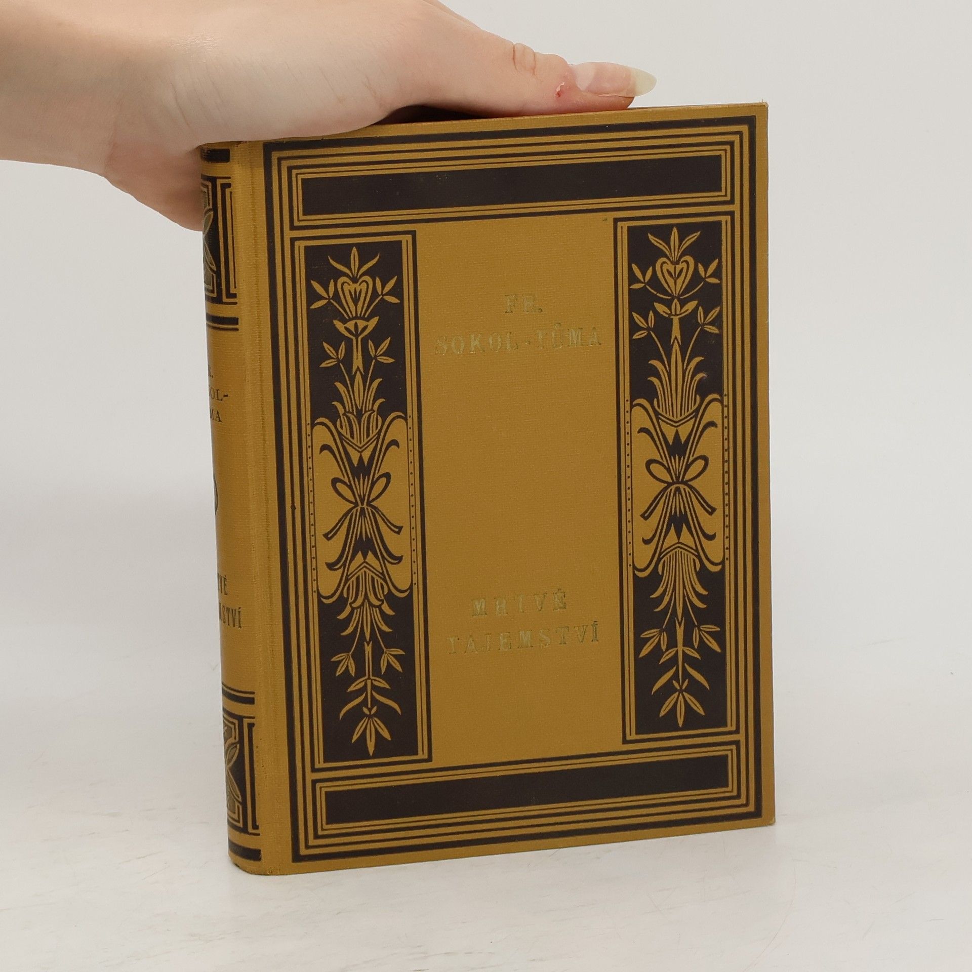 František Sokol Tůma Mrtvé tajemství. Román ženy za světové války