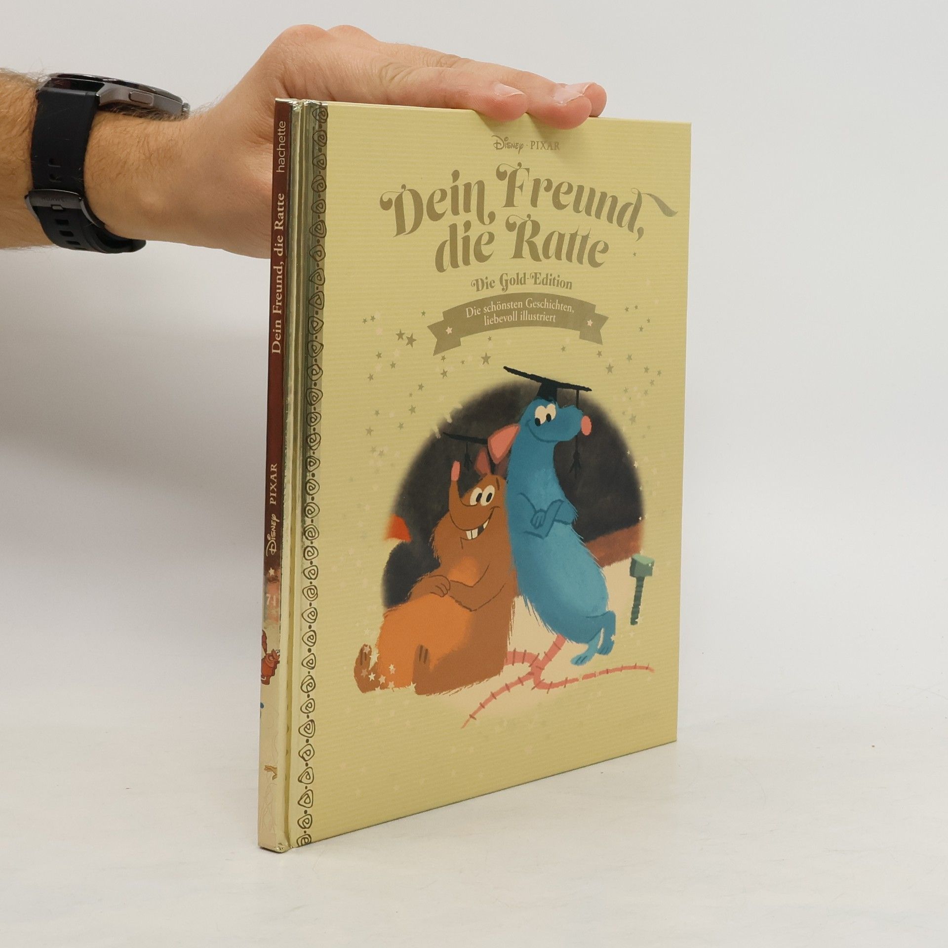 Auteurscollectief Dein Freund, die Ratte