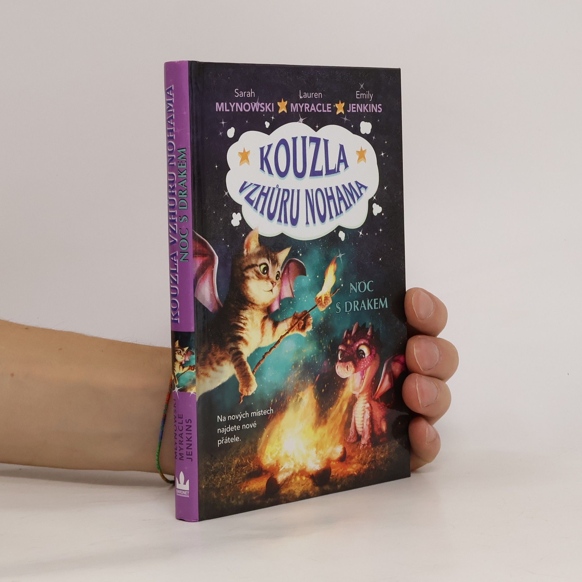 Lauren Myracle Noc s drakem