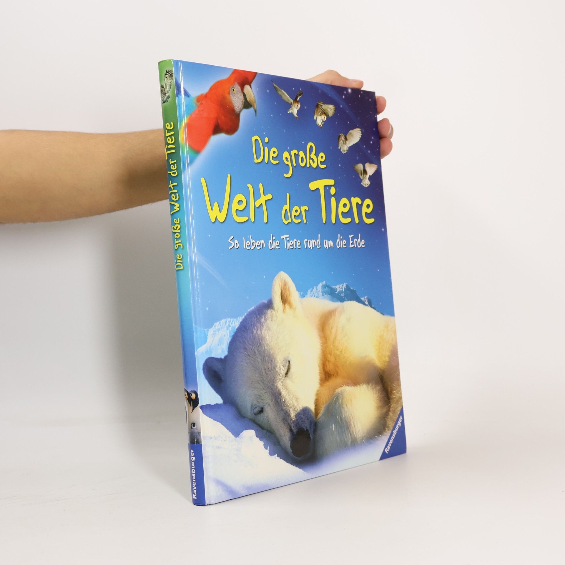Collectif d'auteurs Die große Welt der Tiere