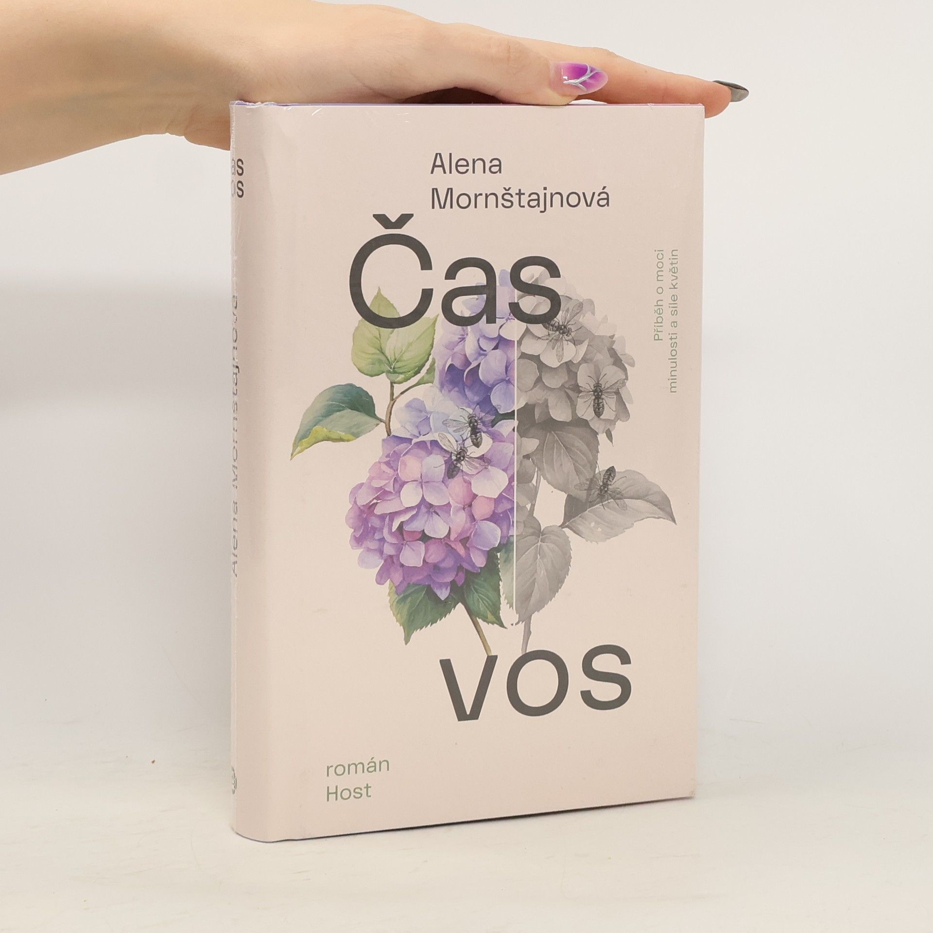 Alena Mornštajnová Čas vos