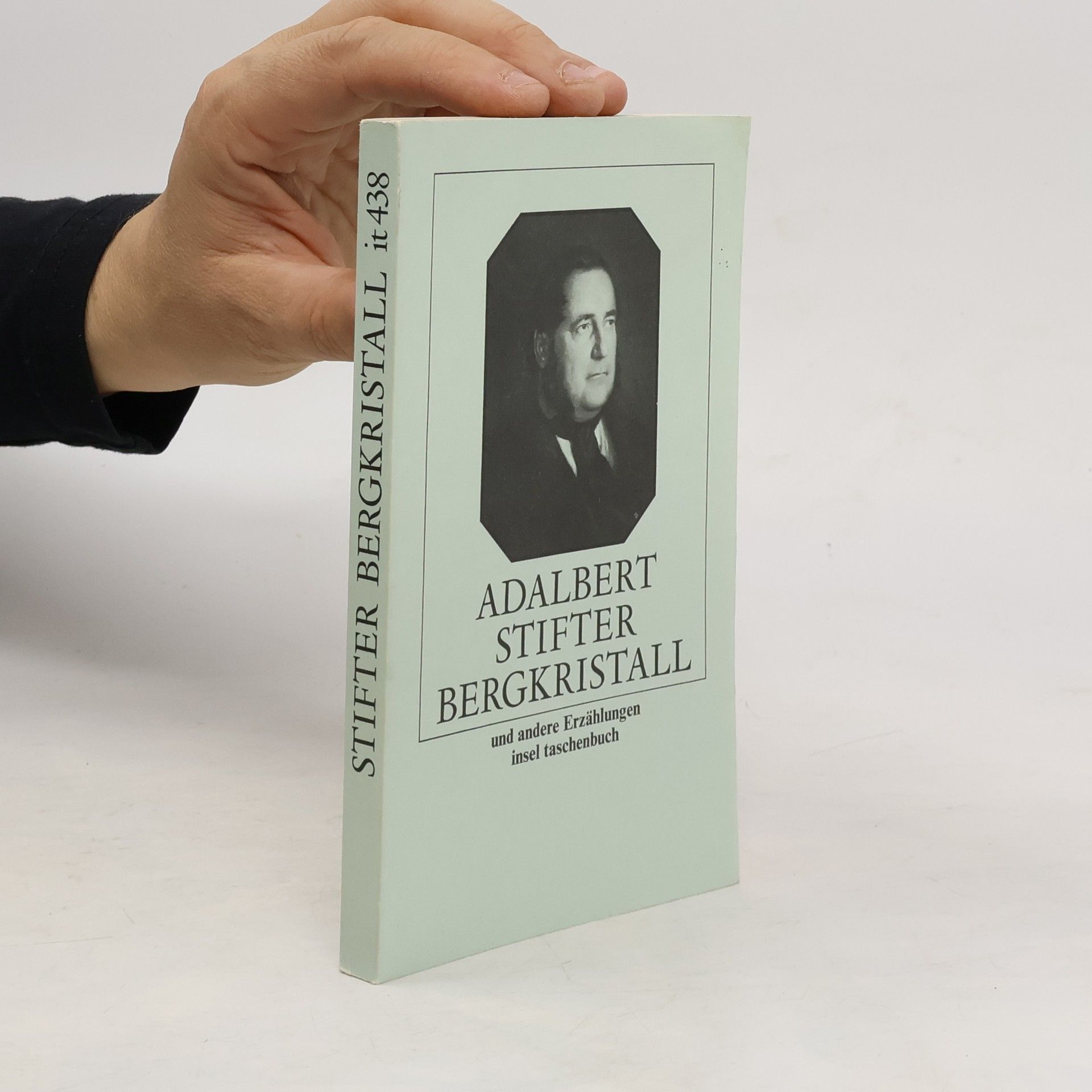 Adalbert Stifter Bergkristall und andere Erzählungen