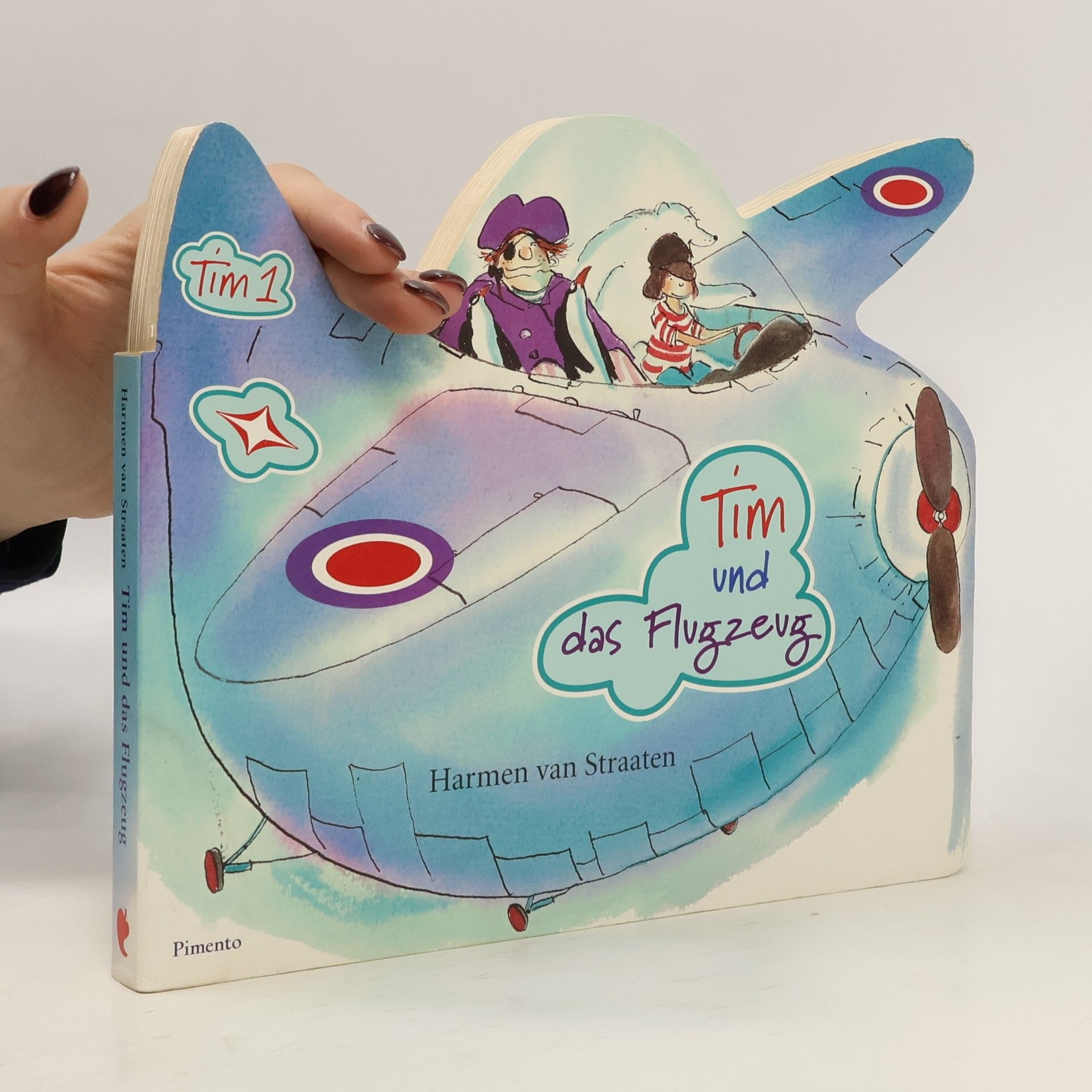 Tim und das Flugzeug