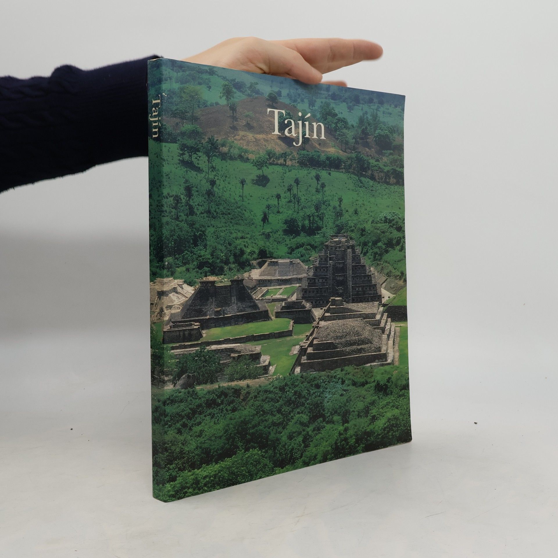 Collectif d'auteurs Tajín