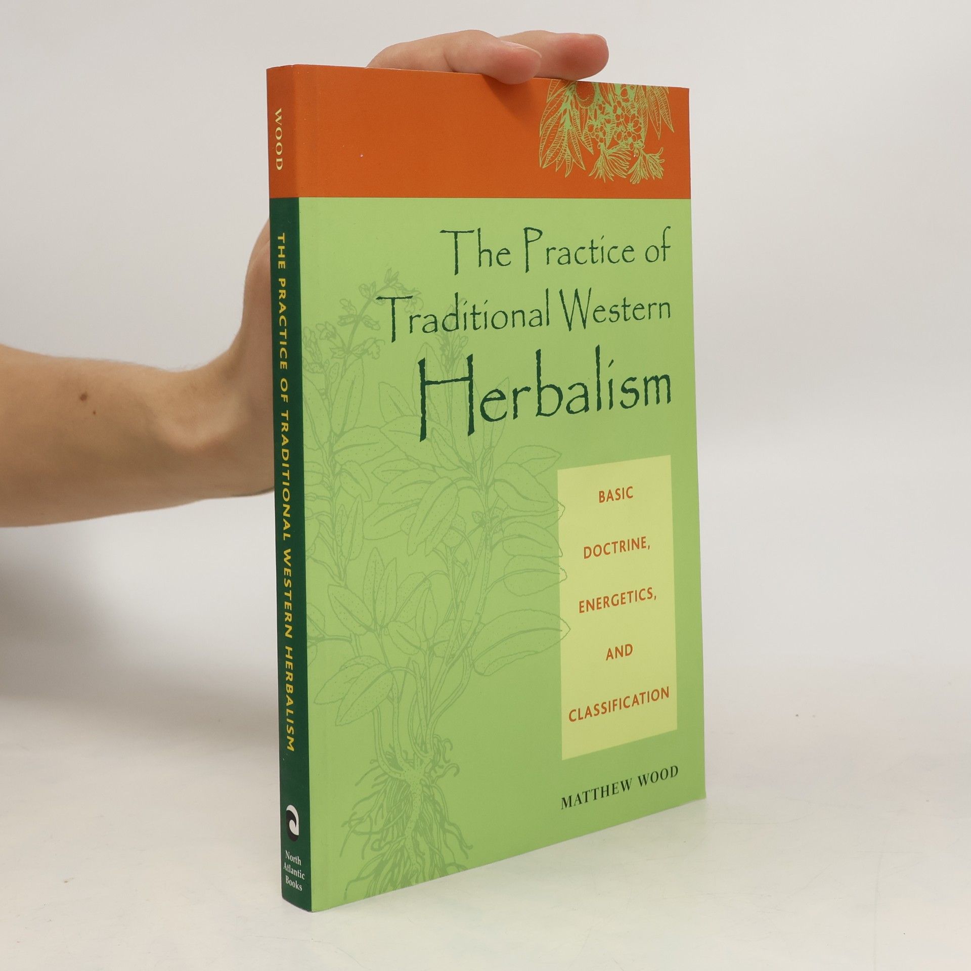 Matthew Wood The Practice of Traditional Western Herbalism
