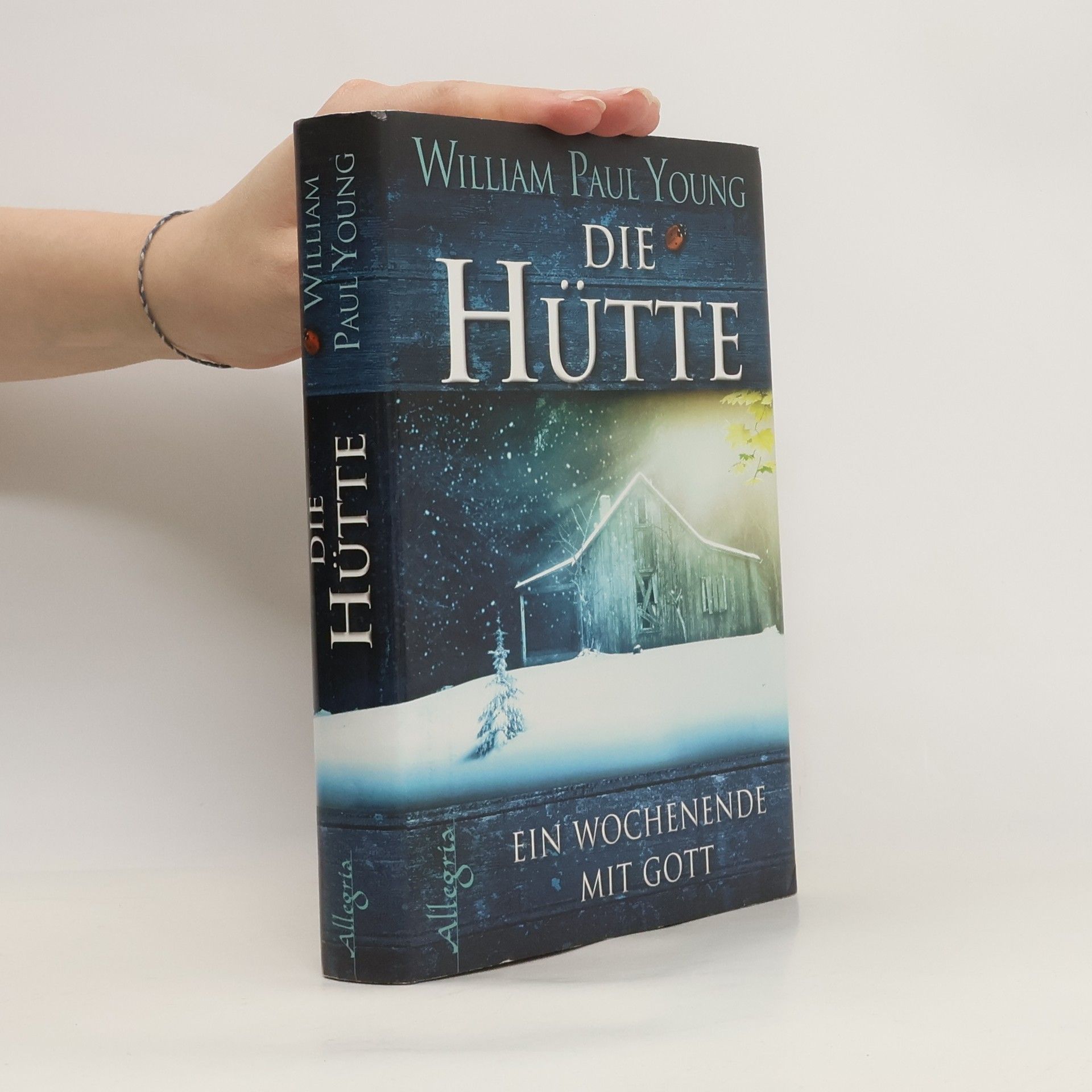William Paul Young Die Hütte