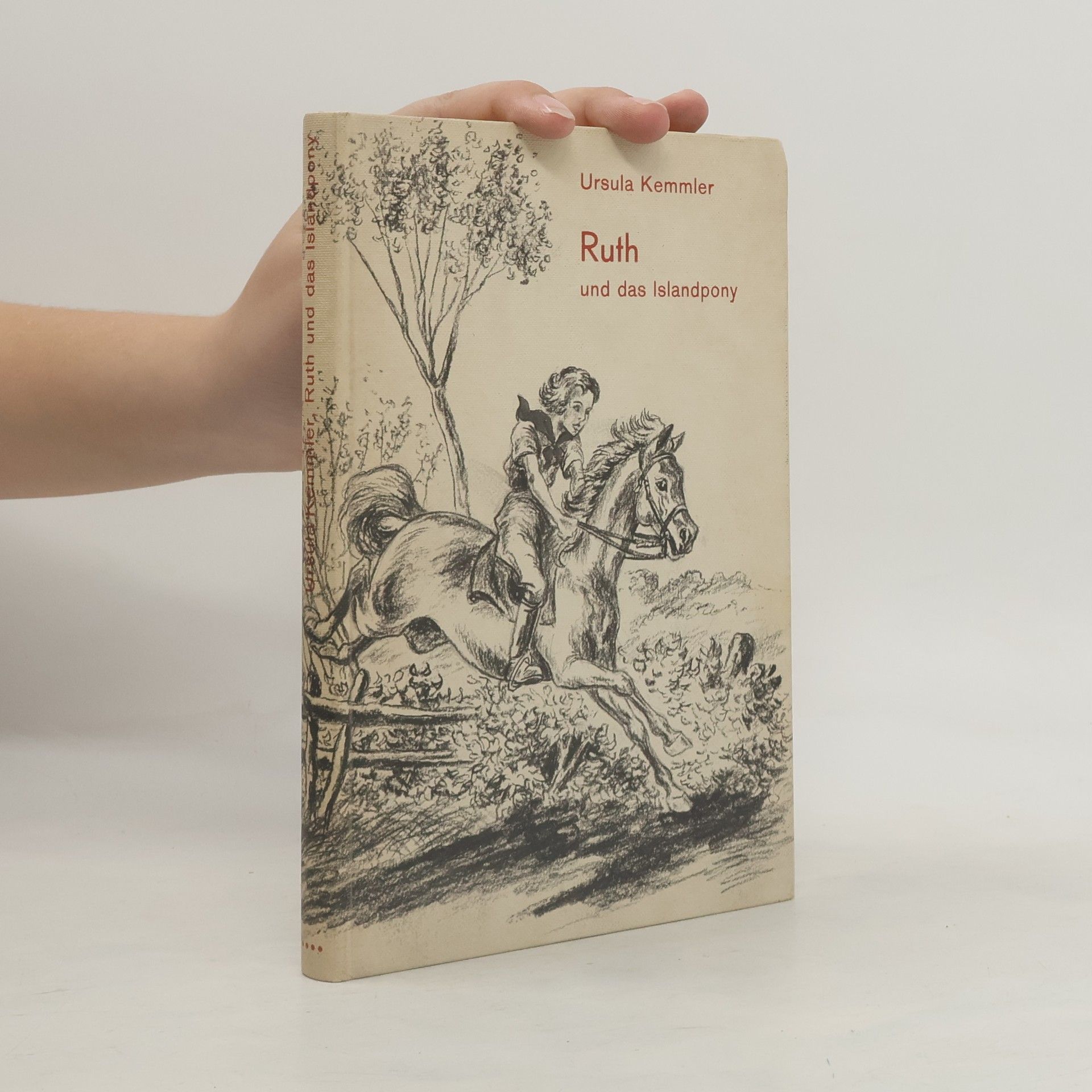 Ursula Kemmler Ruth und das Islandpony