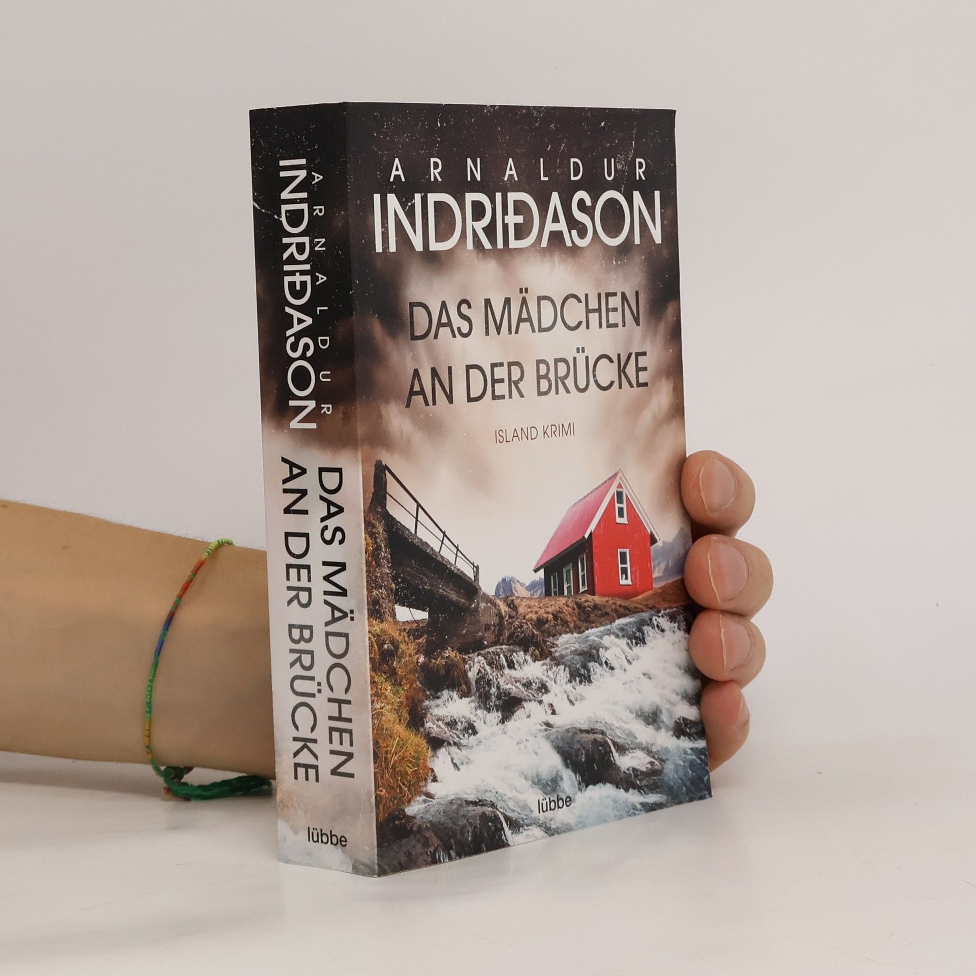 Arnaldur Indriðason Das Mädchen an der Brücke