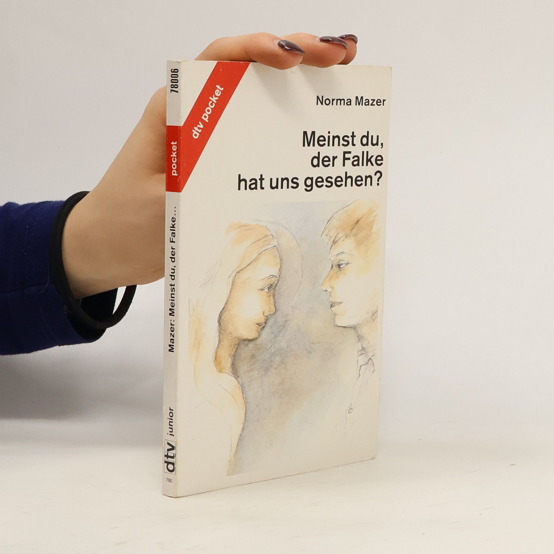 Norma Fox Mazer Meinst du, der Falke hat uns gesehen?