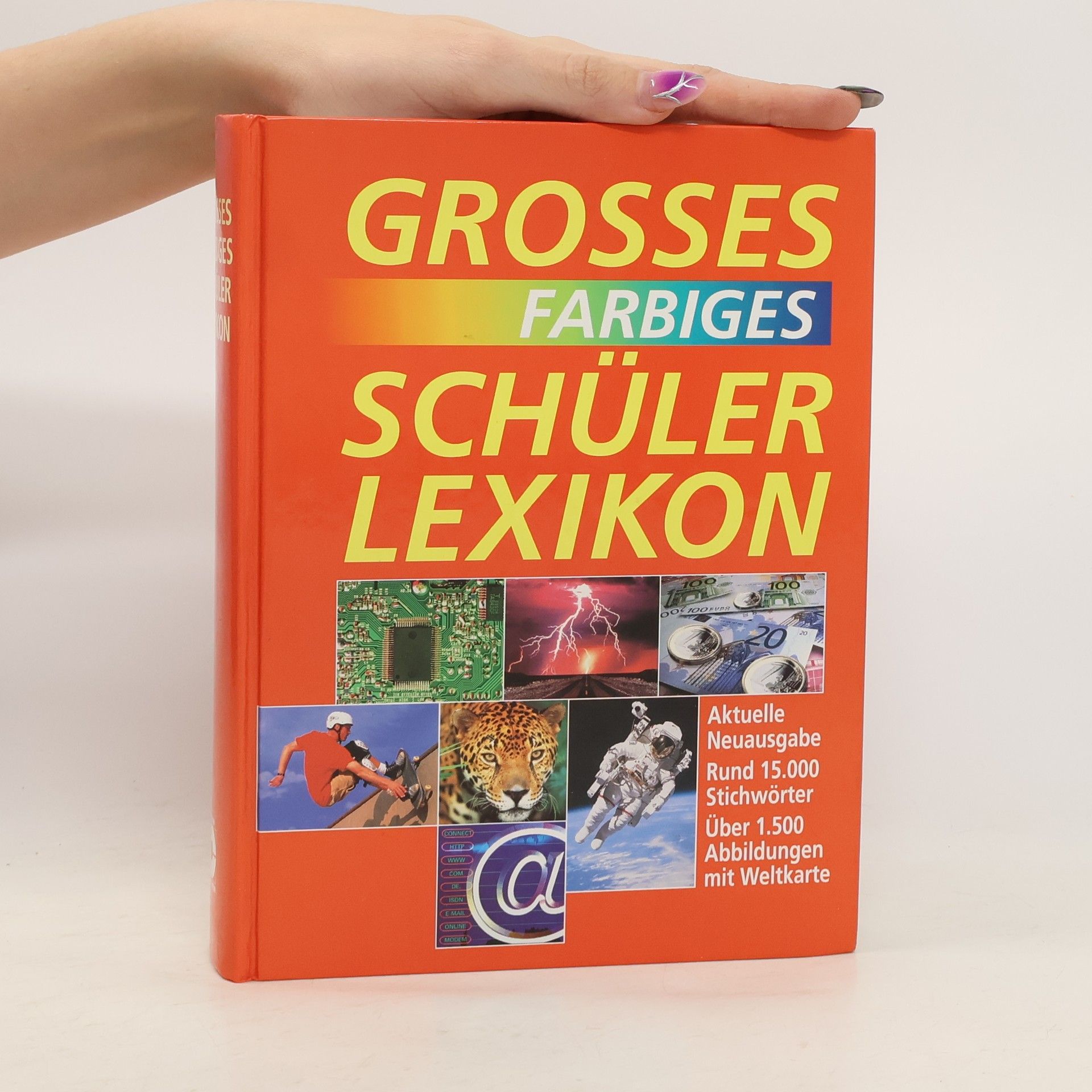 Collectif d'auteurs Grosses Farbiges. Schülerlexikon